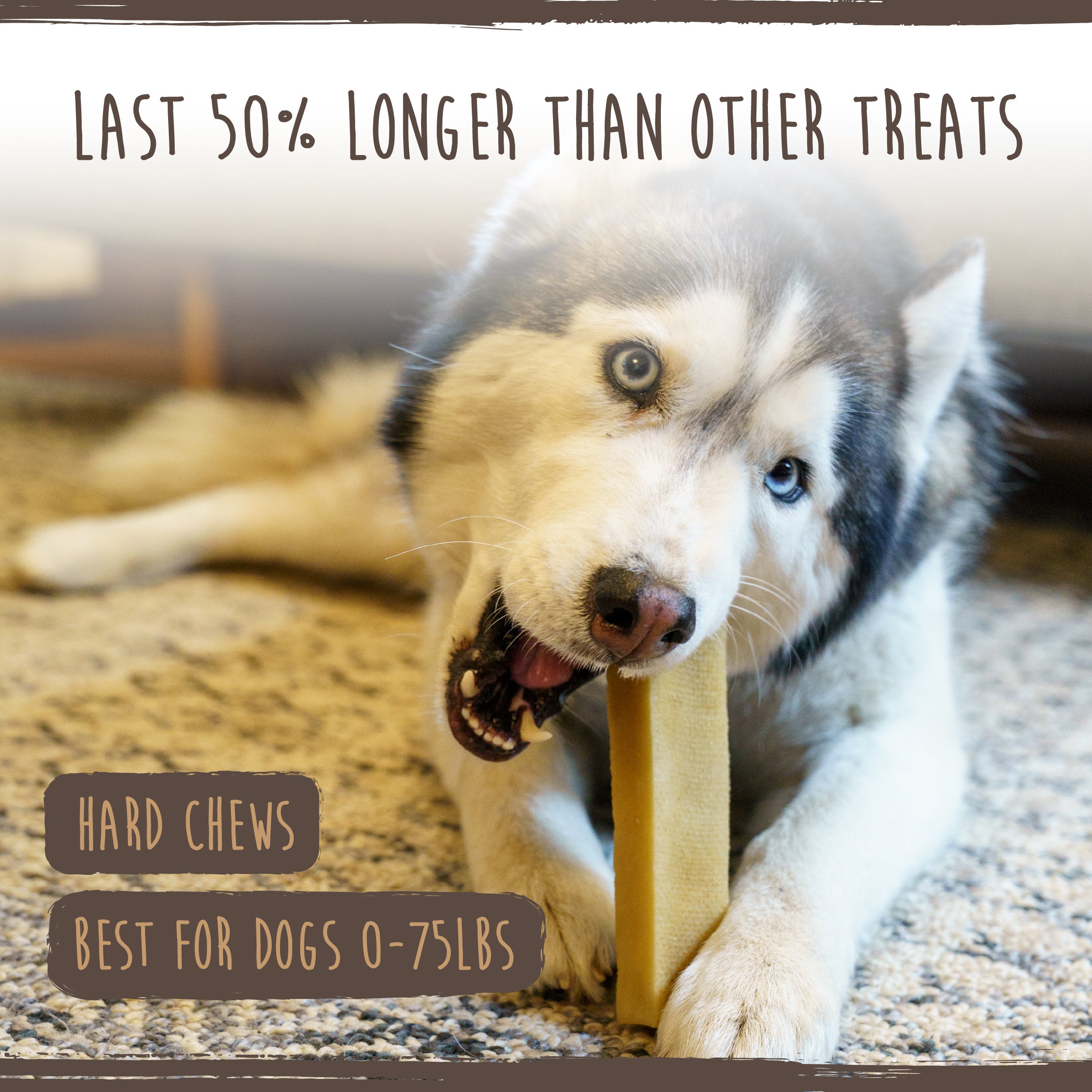 All-Natural Yak Cheese Dog Chews for Healthy Teeth and Gums (1 Pack, 2lb, 3lb, 5lb, or 10lb Bag)