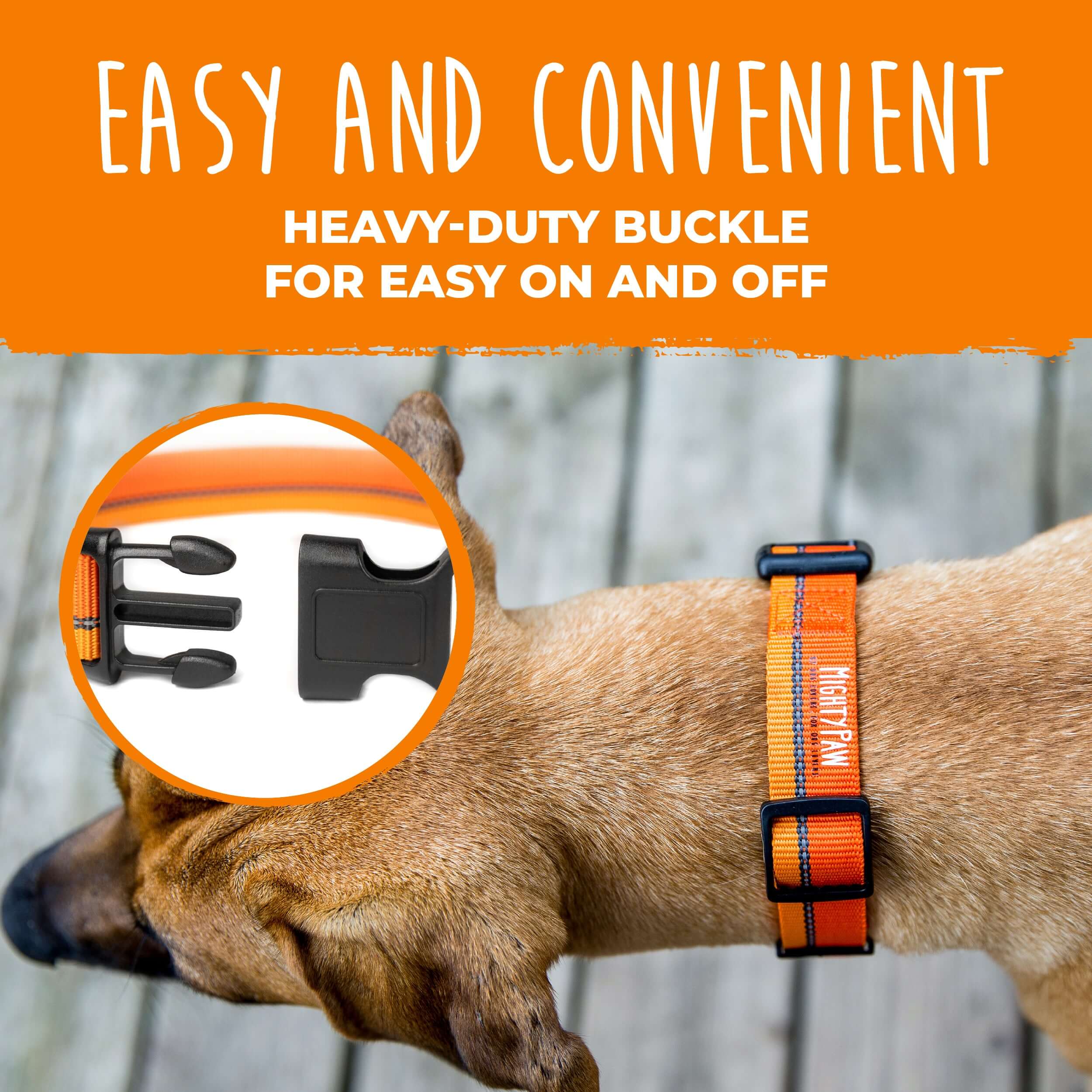 Reflective Colorblast Collar