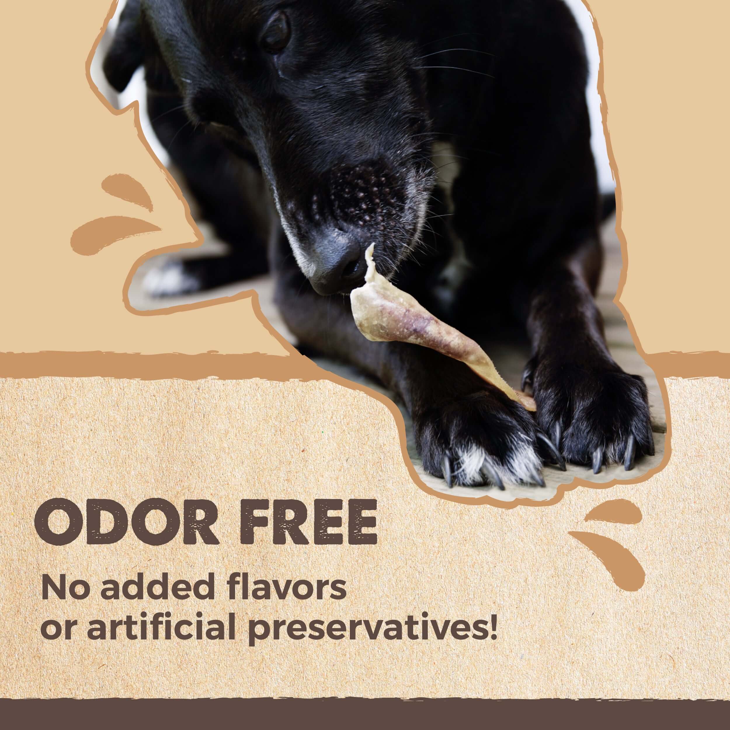 All-Natural Pig Ear Chews