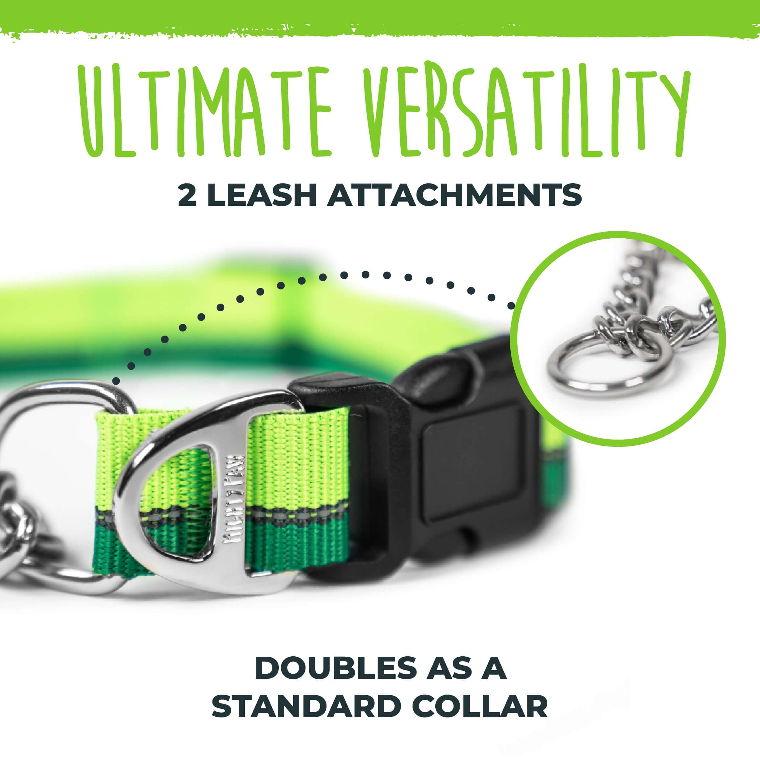 Martingale Dog Collar 2.0