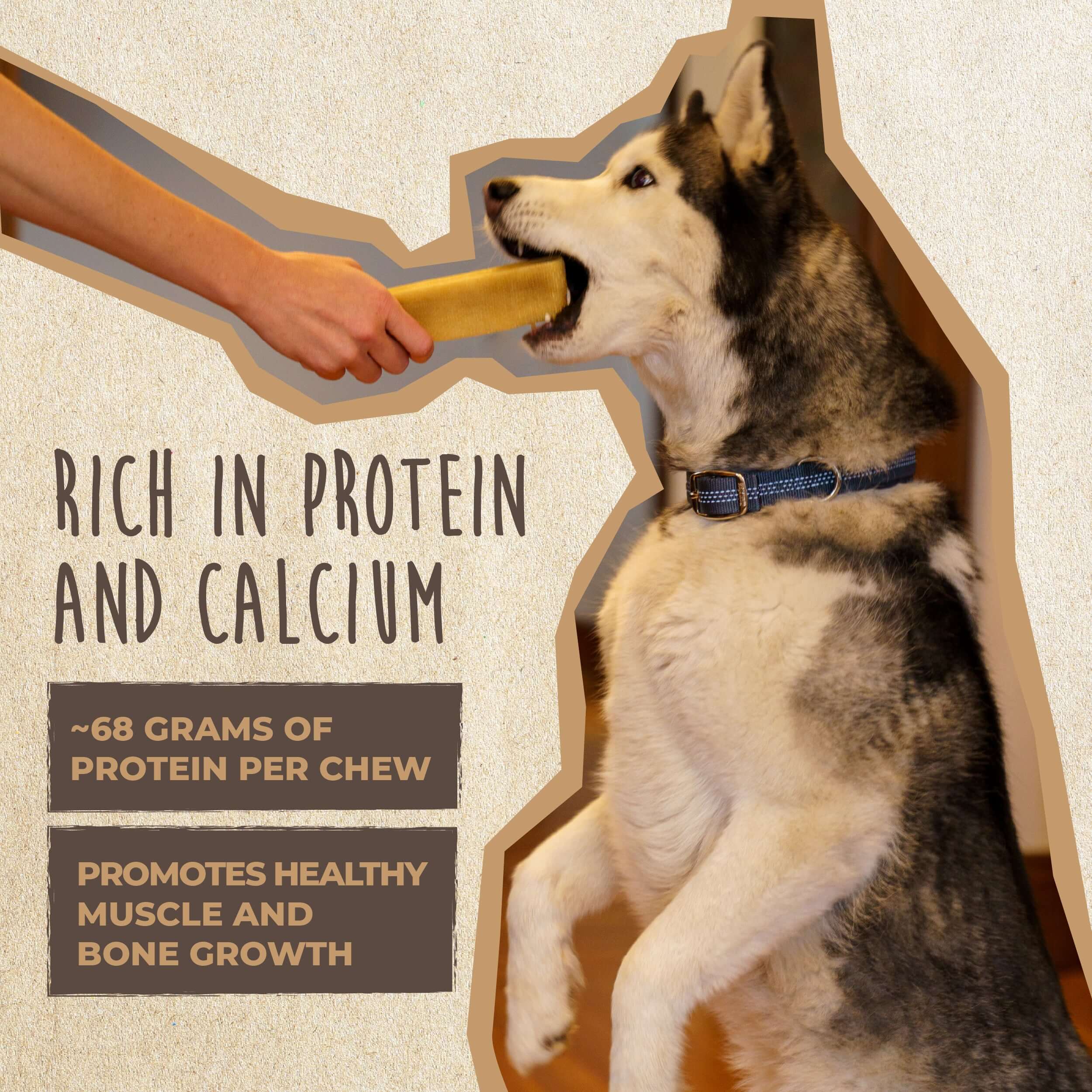 All-Natural Yak Cheese Dog Chews Puff