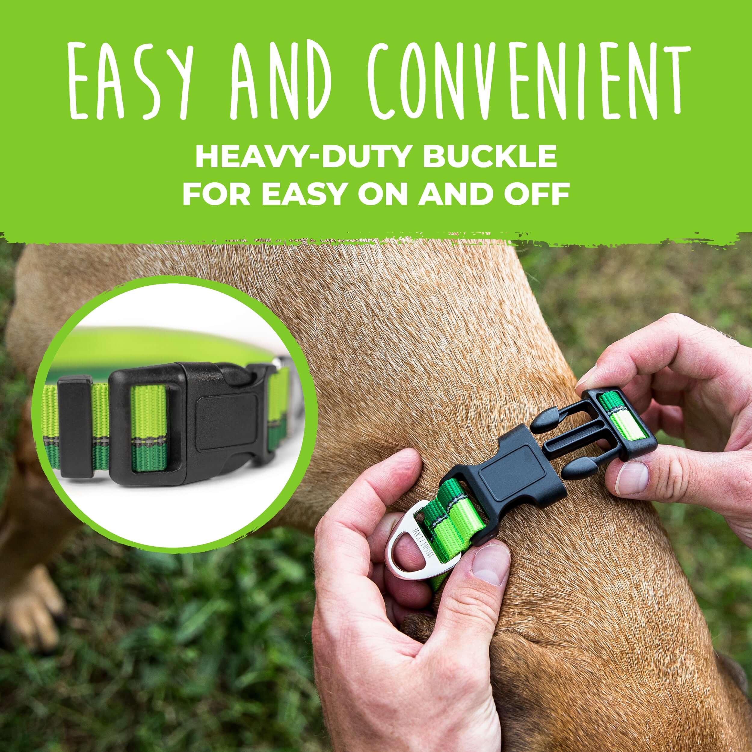 Reflective Colorblast Collar