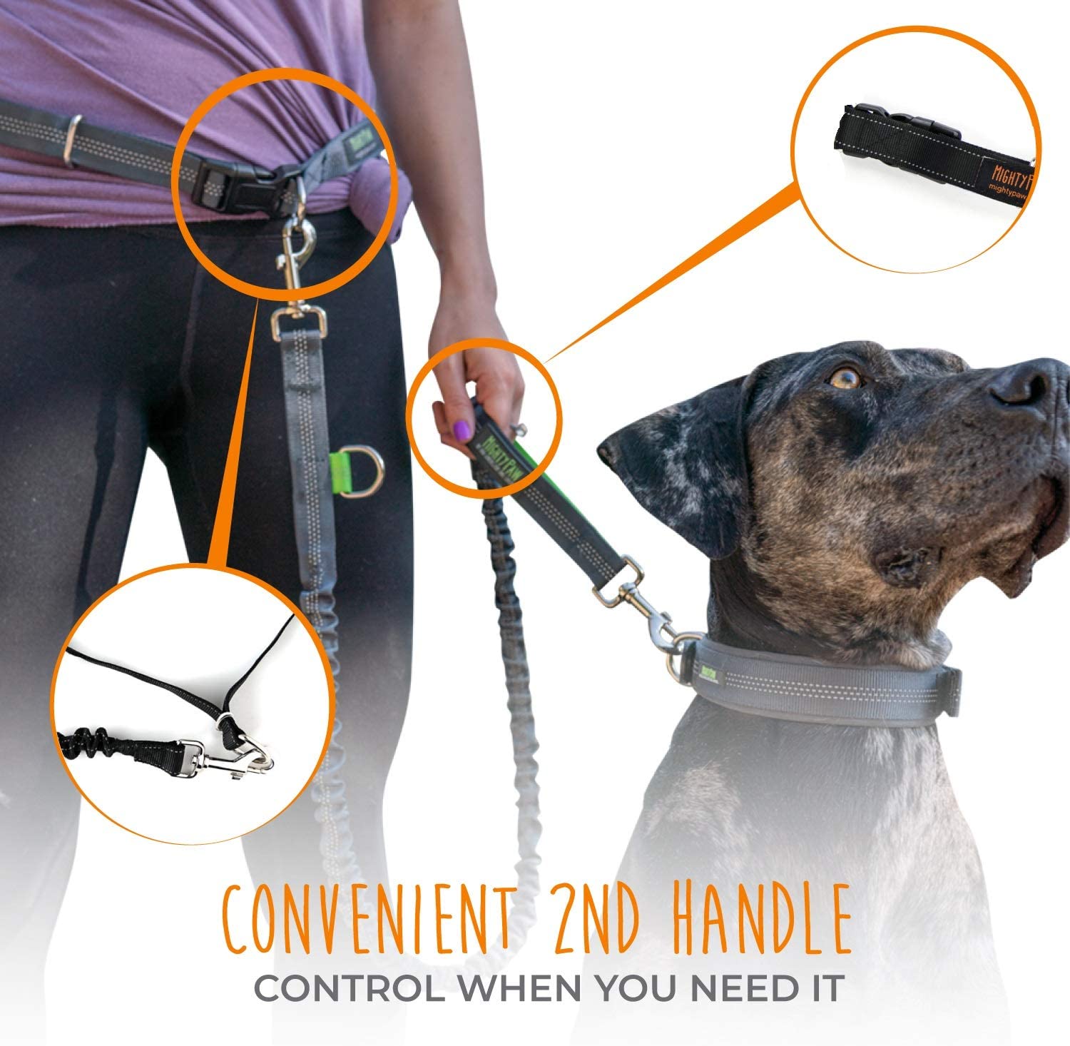 Hands-Free Bungee Leash Set