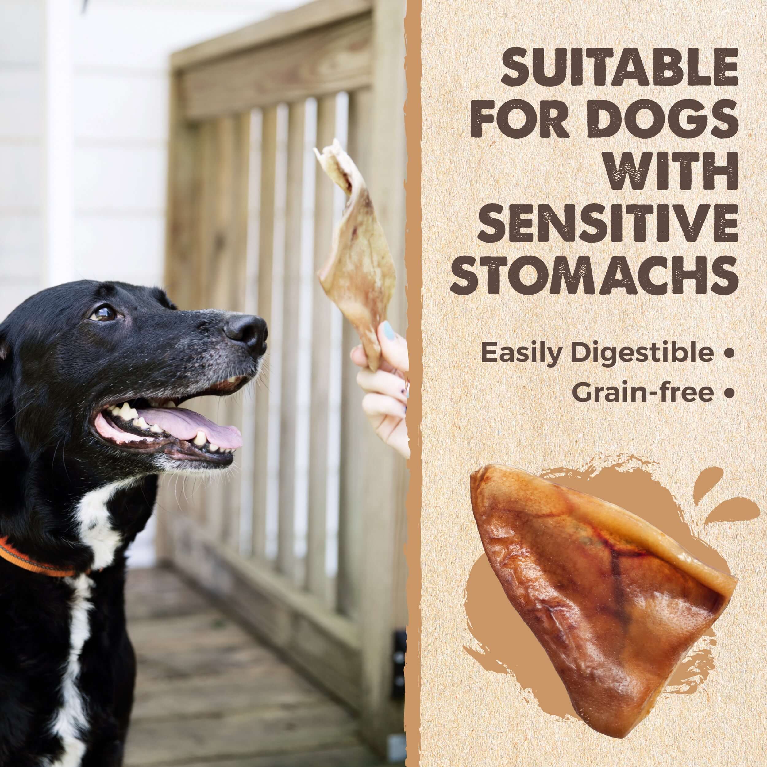 All-Natural Pig Ear Chews