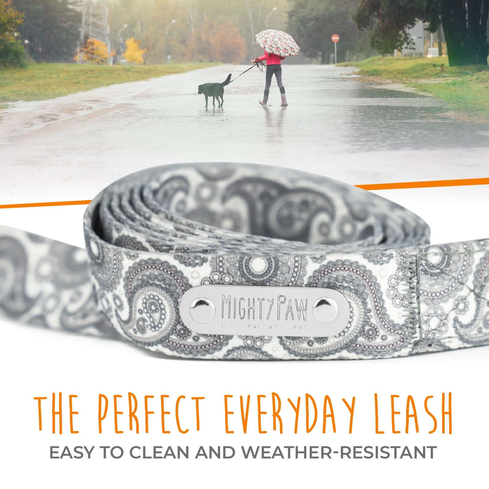 6-Foot Grey Paisley Designer Leash