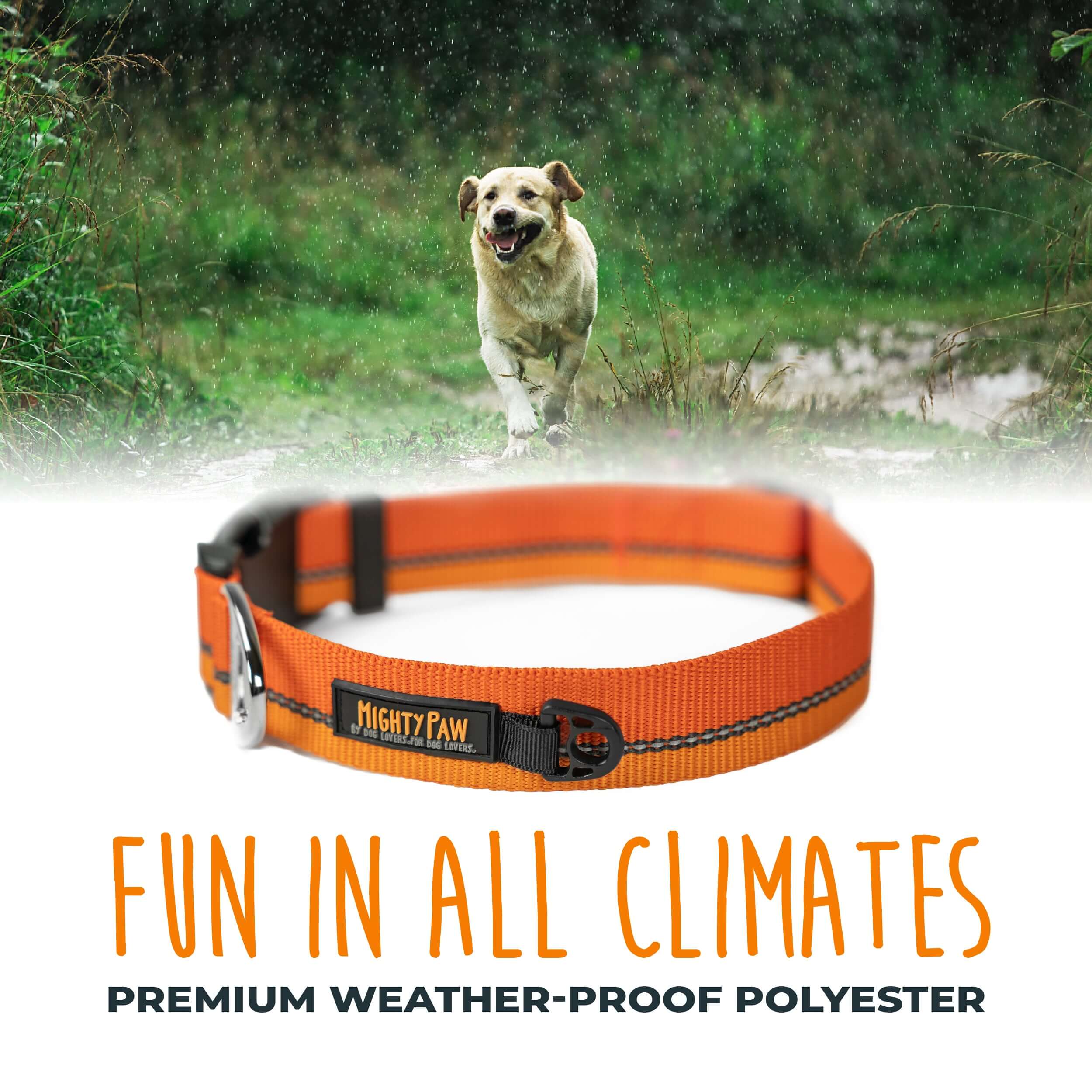 Standard Reflective Colorblast Dog Collar