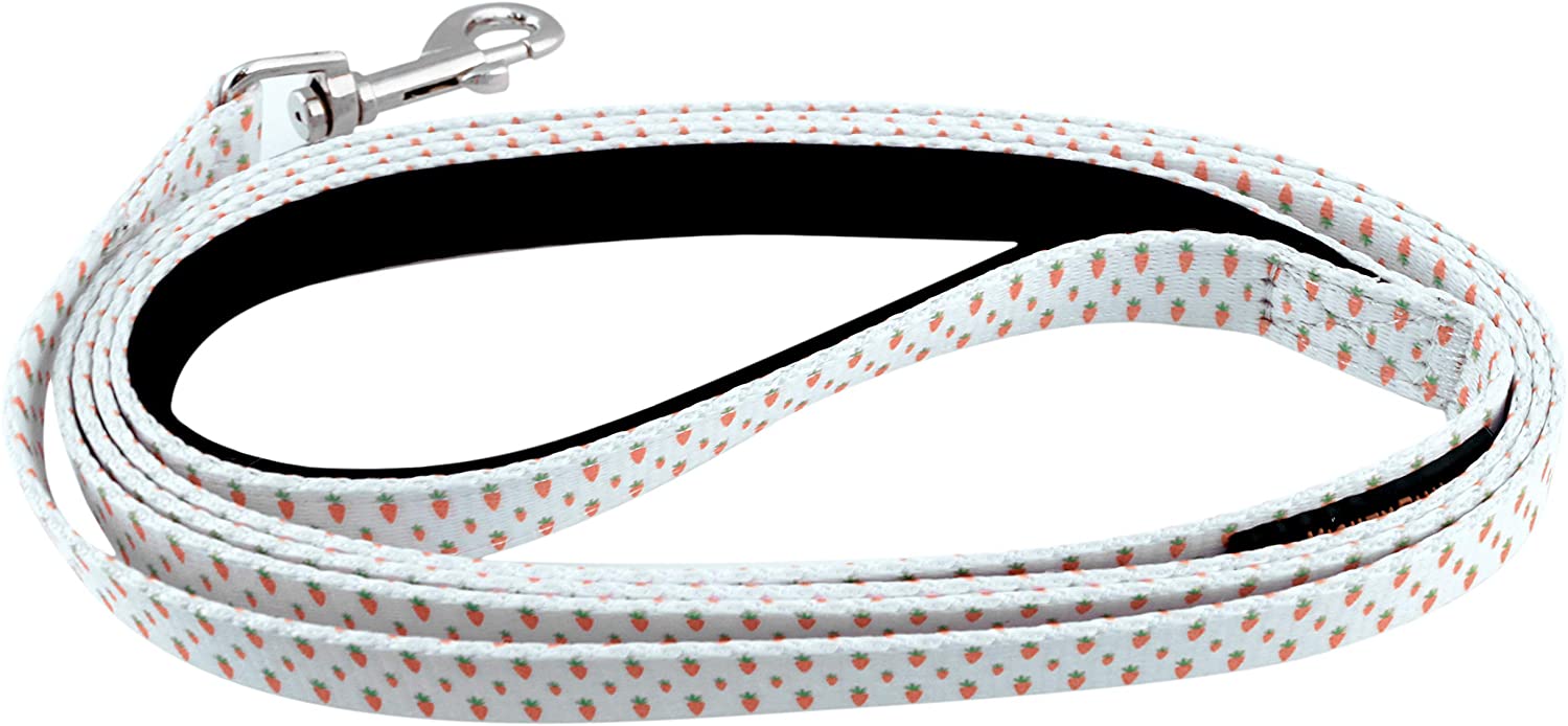 Festive 6-Foot Easter Dog Leash with Durable Hardware