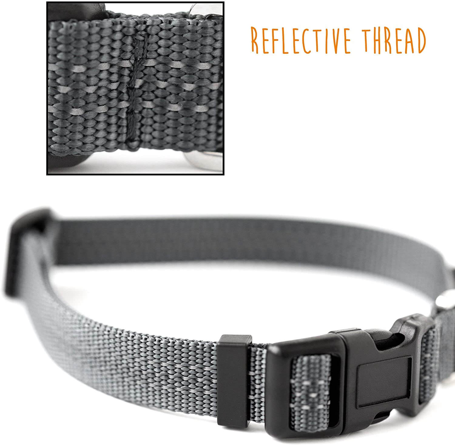 Reflective Standard Dog Collar