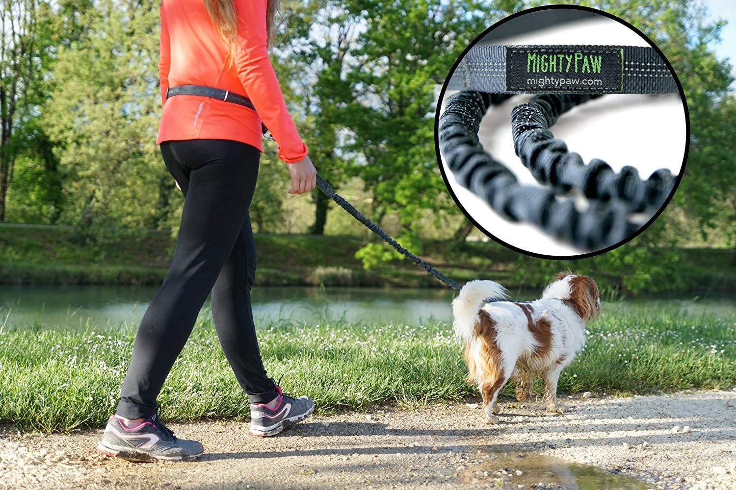 Hands-Free Bungee Leash Set