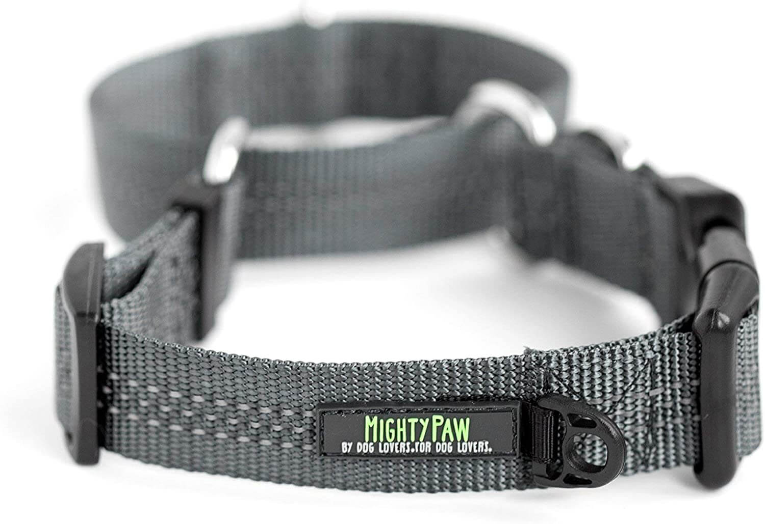 Nylon Martingale Cinch Dog Collar