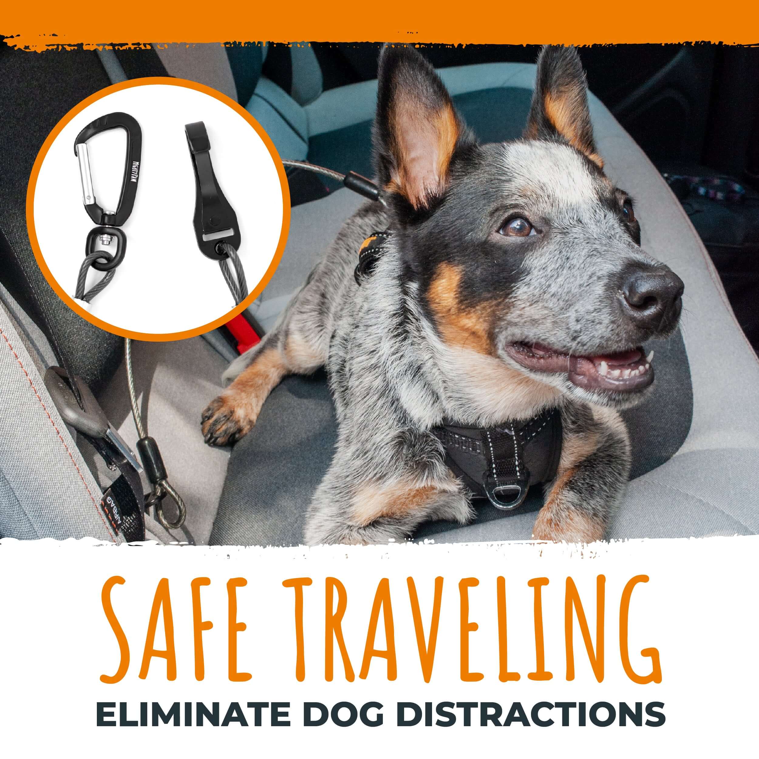 Chew-Proof Car Safety Belt