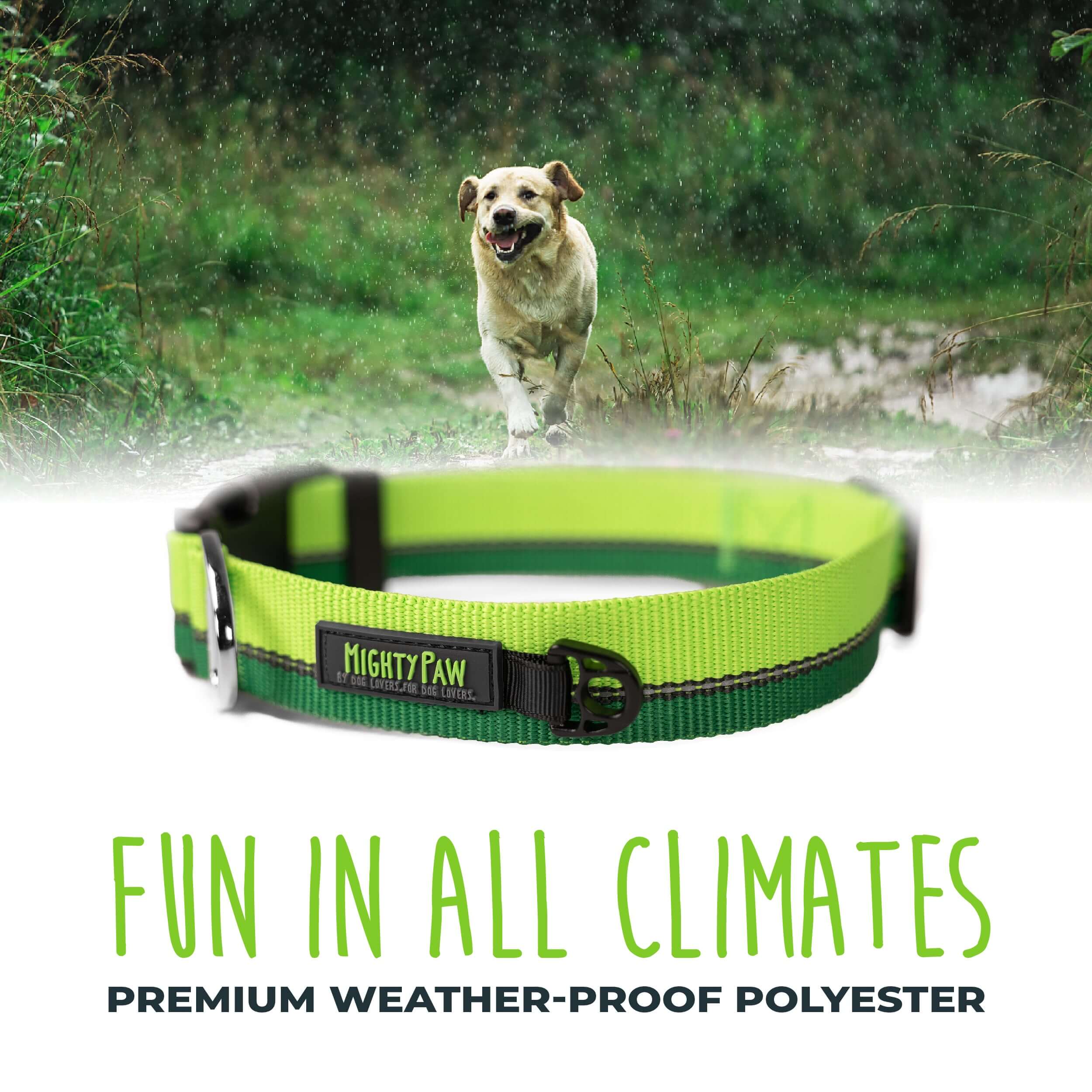 Standard Reflective Colorblast Dog Collar