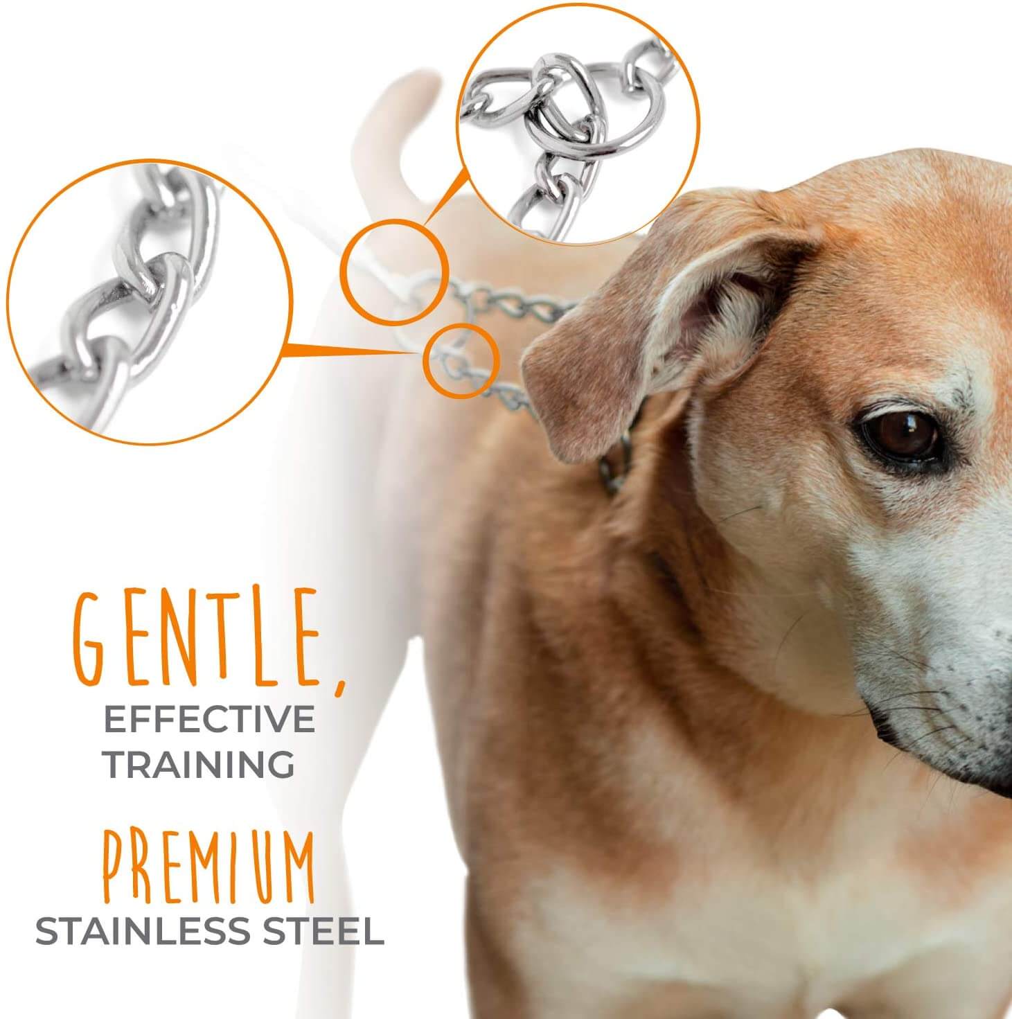 Gentle Martingale Collar - Durable, Weather-Resistant Stainless Steel