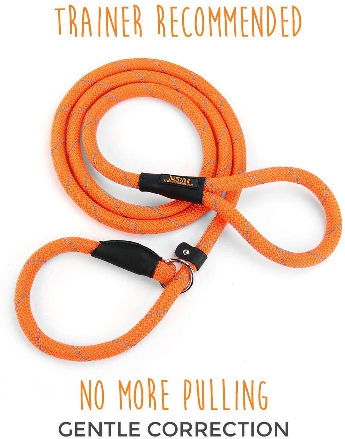 Slip Rope Leash