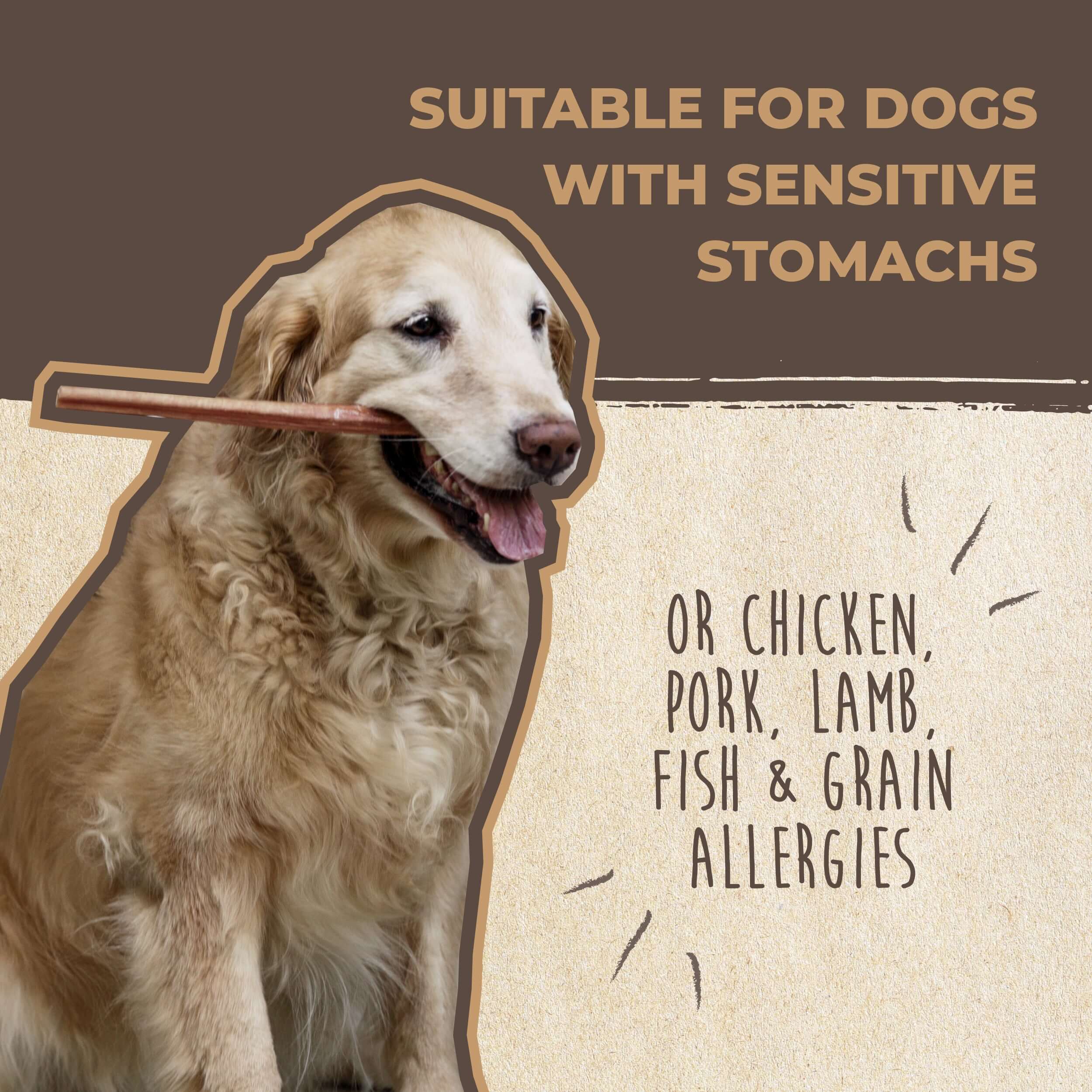 All-Natural Bully Sticks
