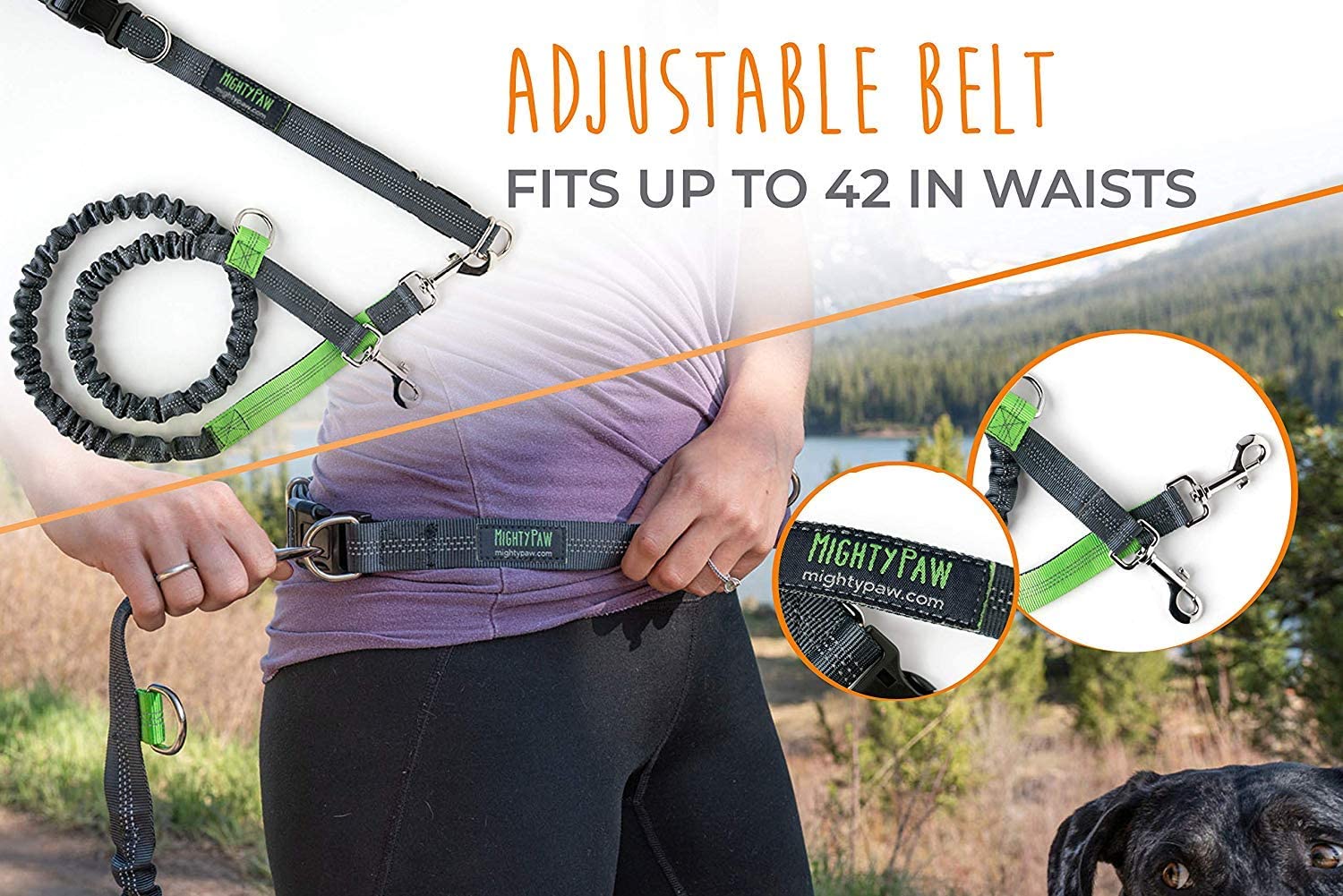 Hands-Free Bungee Leash Set