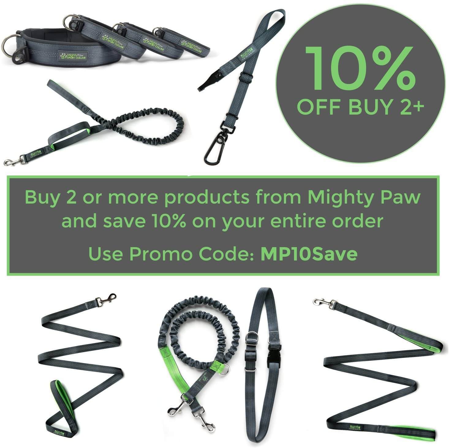 6-Foot Standard Dog Leash