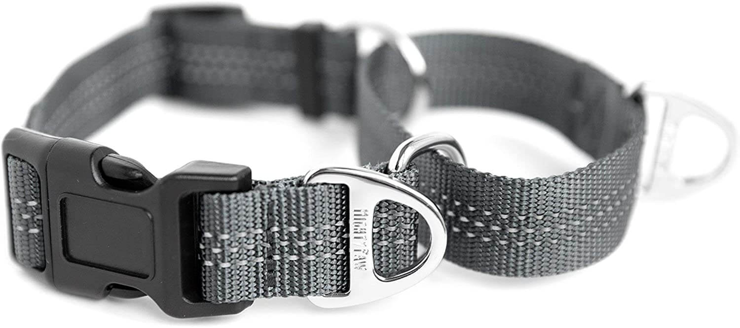 Nylon Martingale Cinch Collar