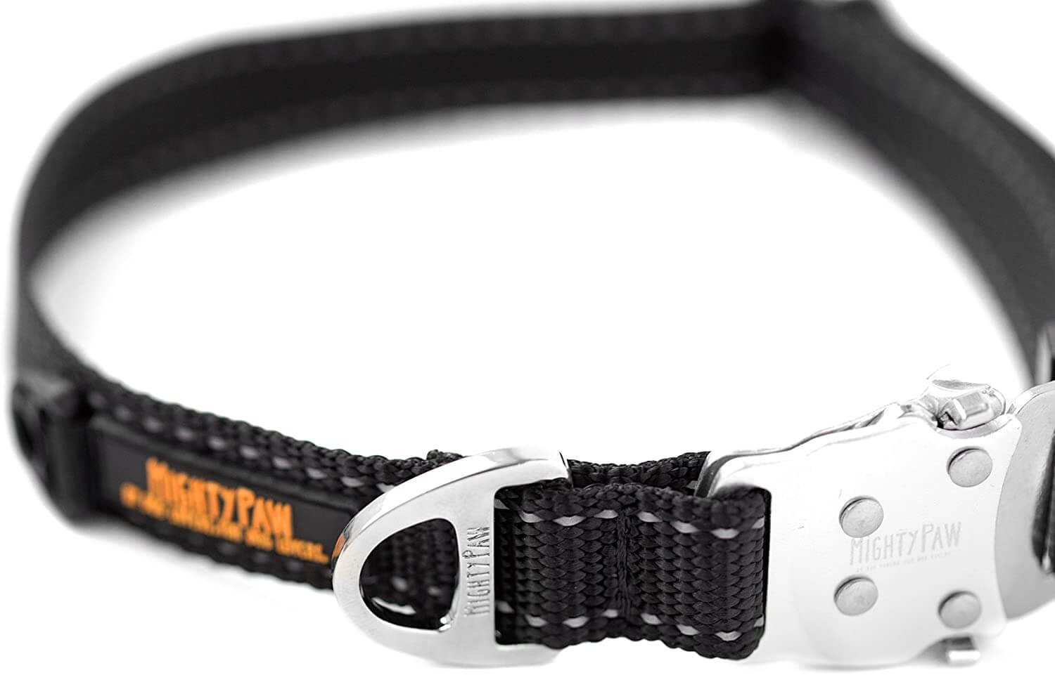 All-Metal Buckle Dog Collar with Tag Silencer and Reinforced D-Ring