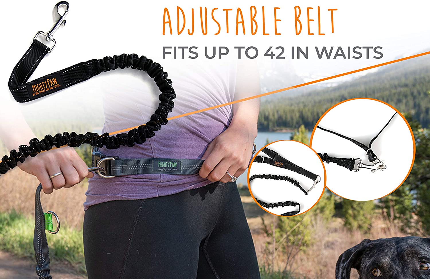 Hands-Free Bungee Leash Set