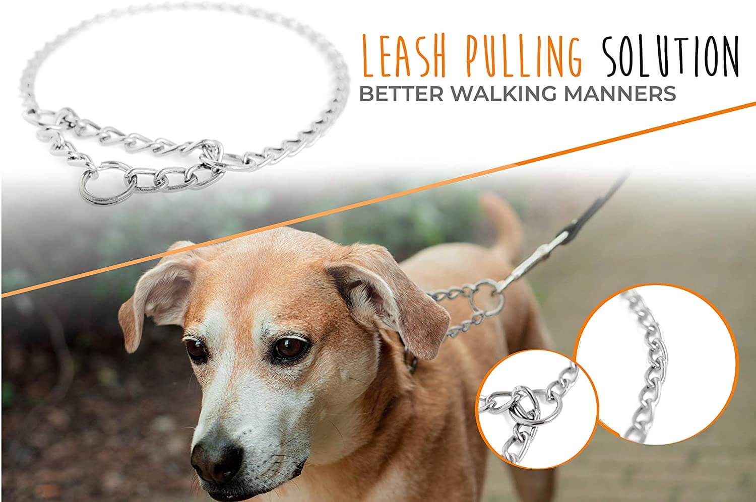 Stainless Steel Martingale Collar