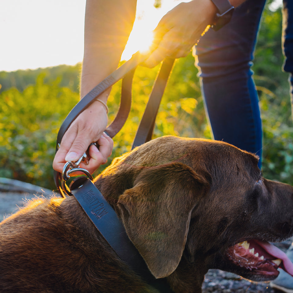 Distressed Leather Leash