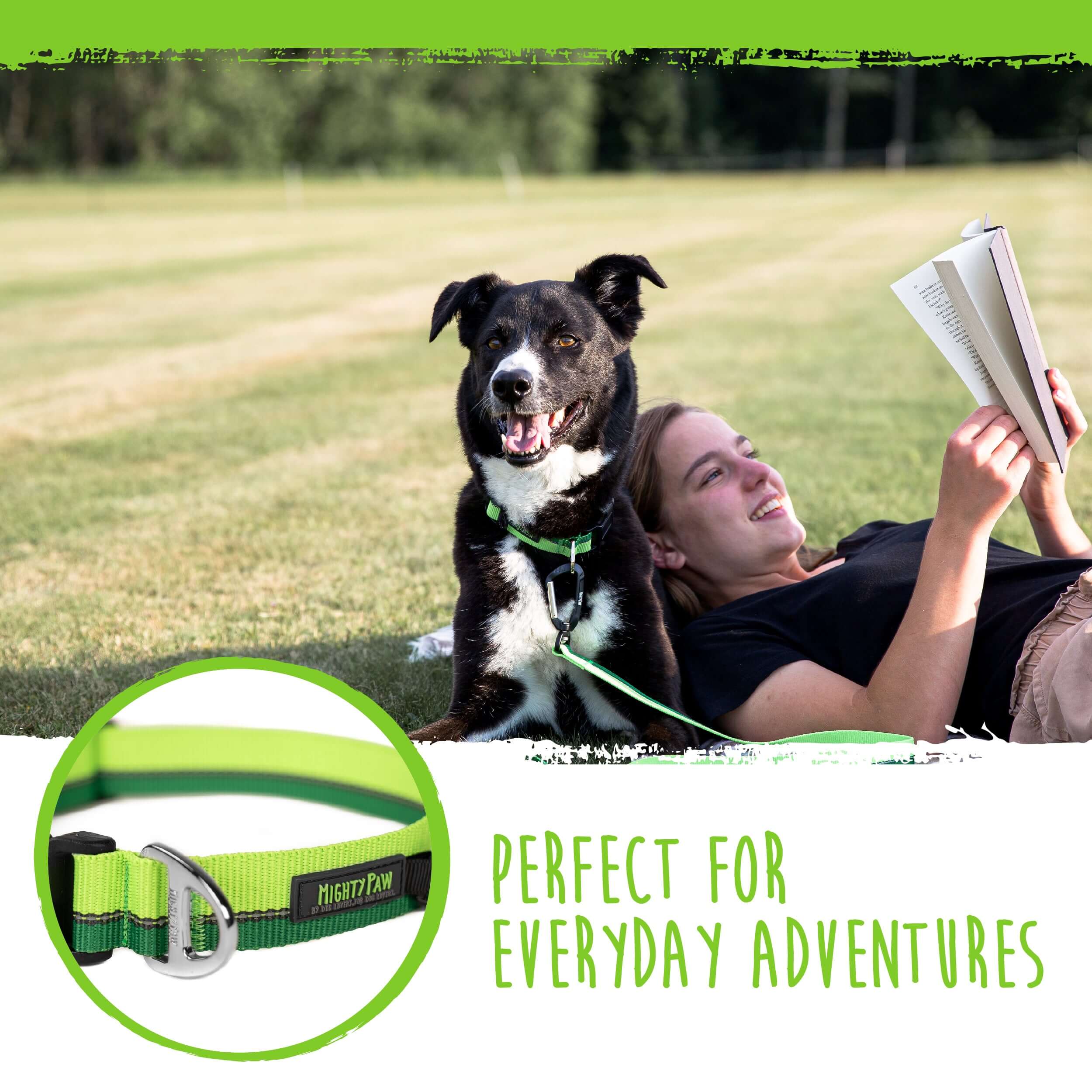 Reflective Colorblast Collar
