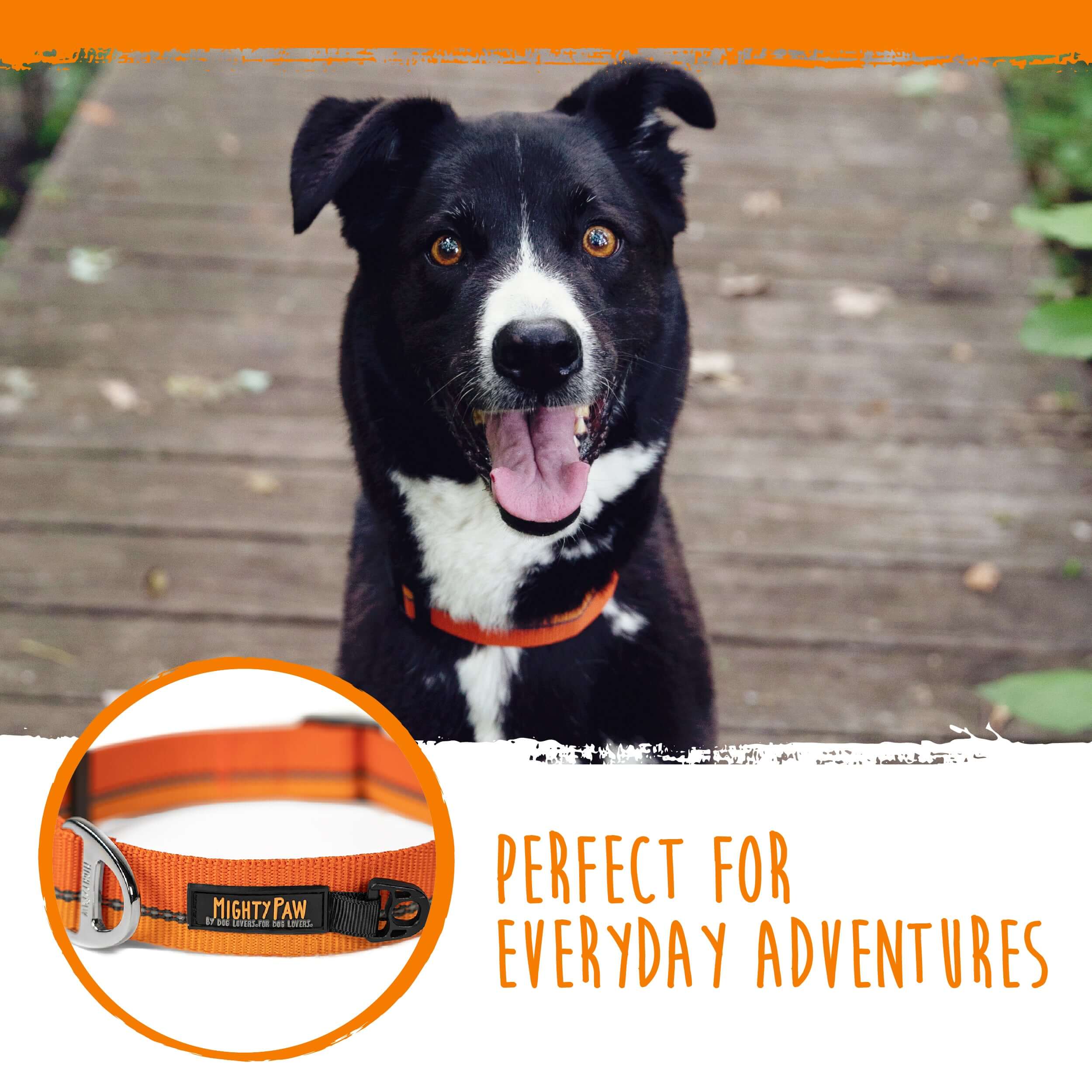 Reflective Colorblast Collar