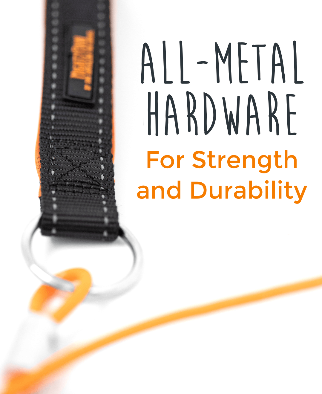 6-Foot Chew-Proof Cable Leash