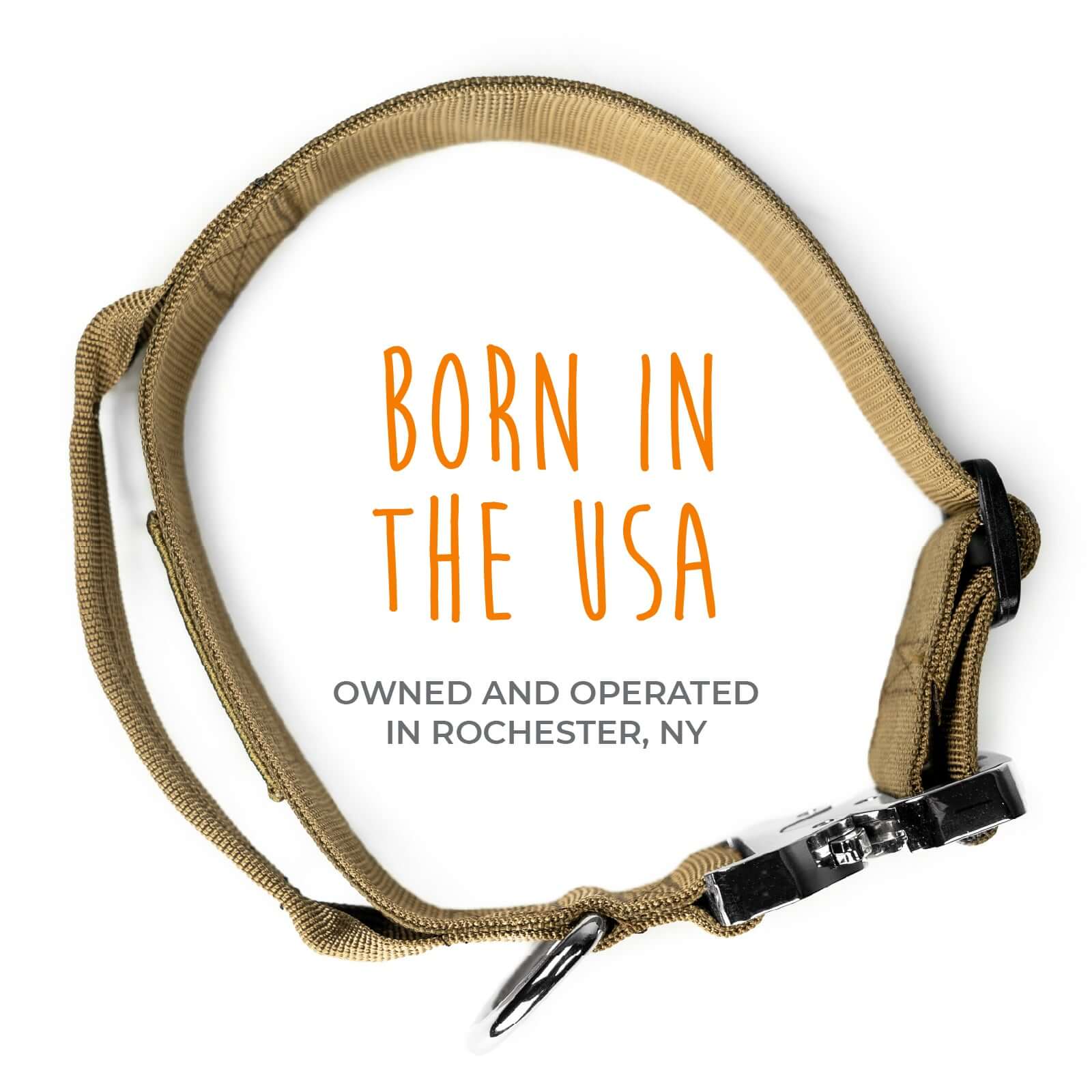 Heavy-Duty Tactical Collar