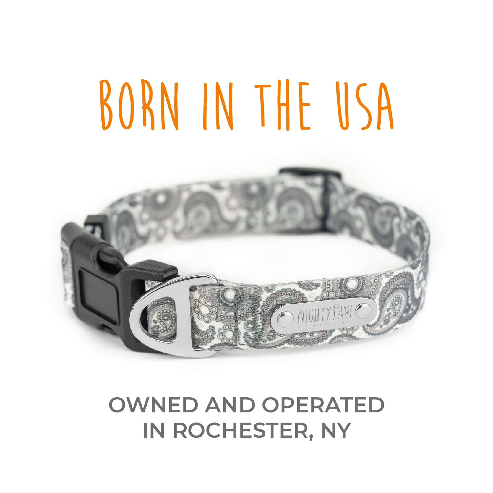Grey Paisley Designer Collar