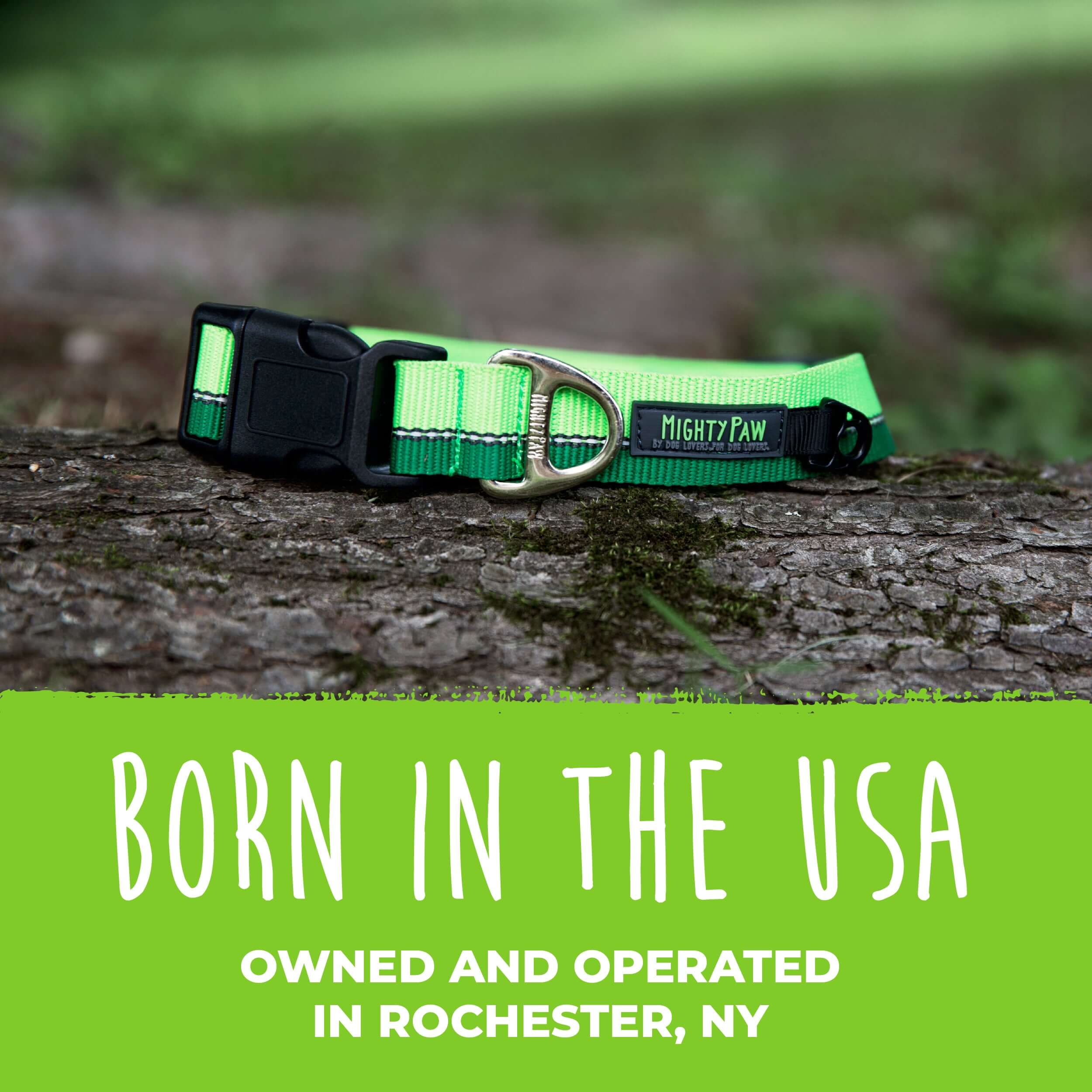 Reflective Colorblast Collar