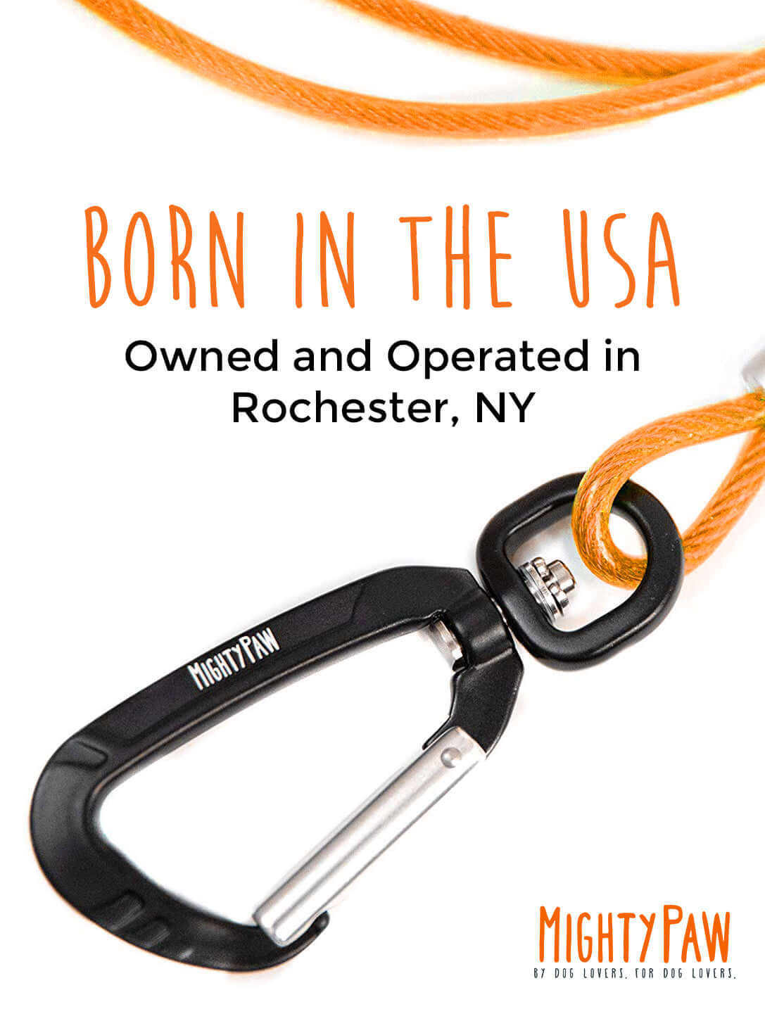 6-Foot Chew-Proof Cable Leash