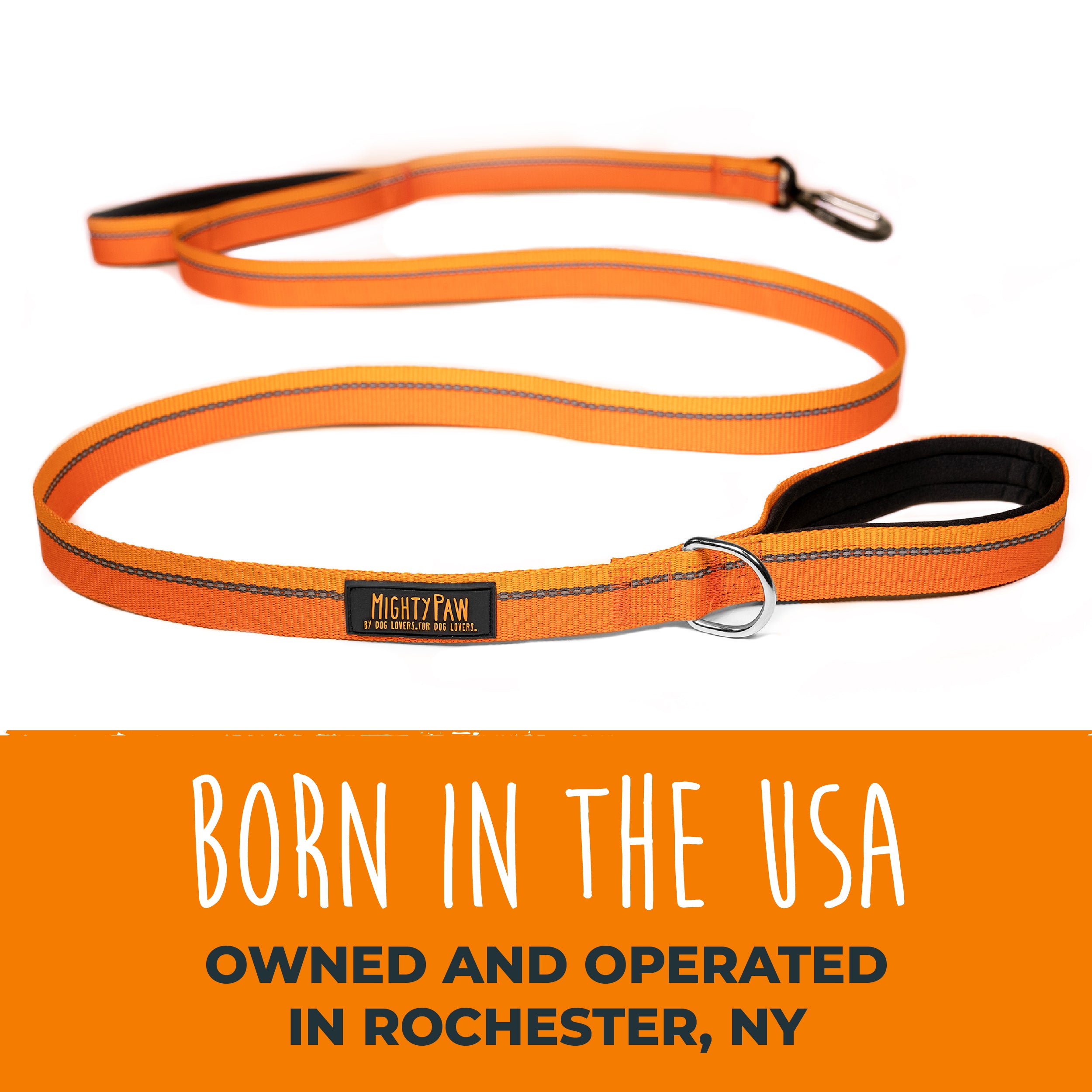 6-Foot Dual Handle Leash (2.0)
