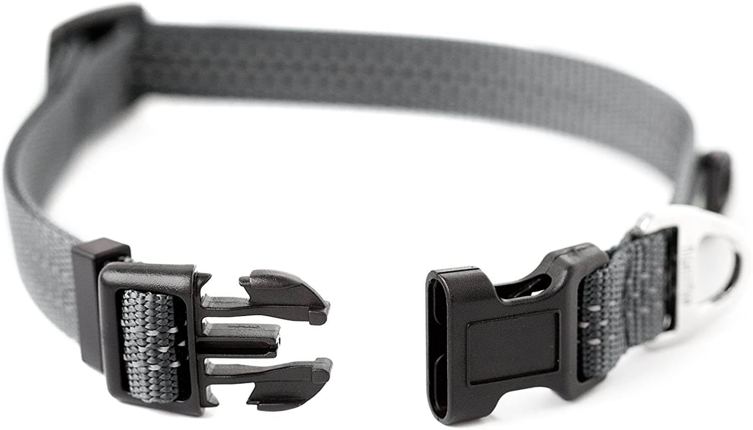 Reflective Standard Dog Collar