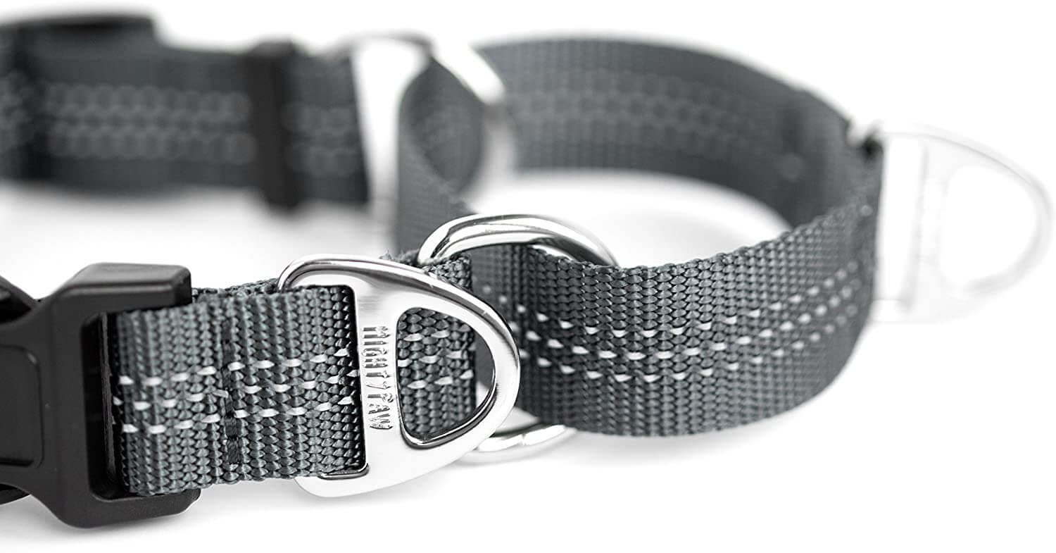 Nylon Martingale Cinch Collar