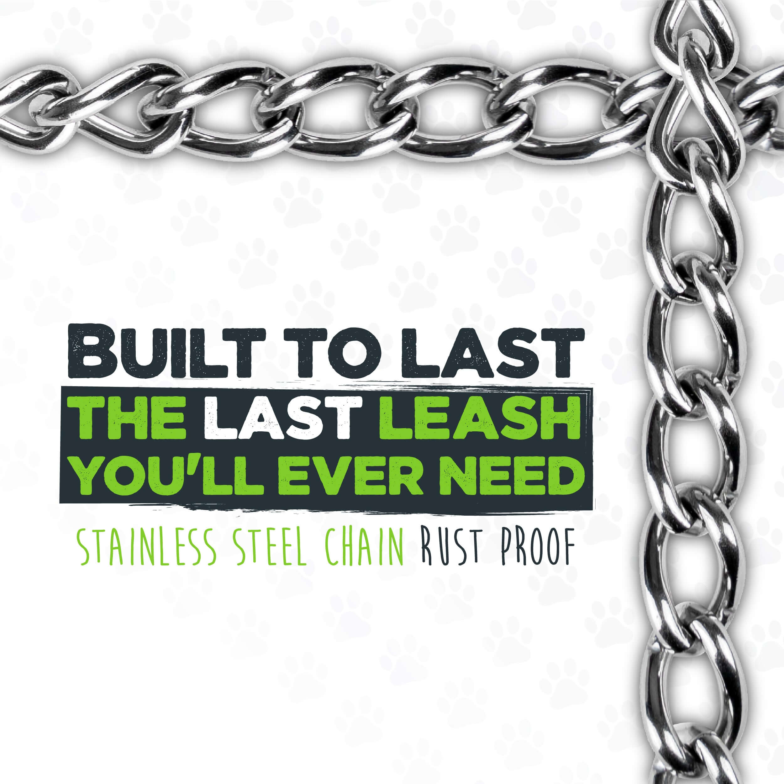 Heavy-Duty Chain Leash