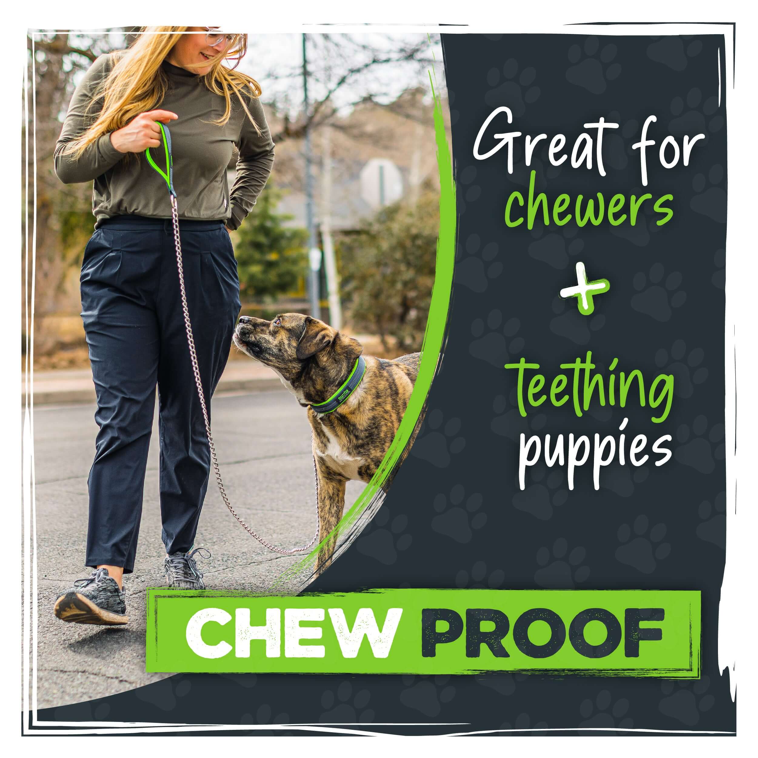 Heavy-Duty Chain Leash