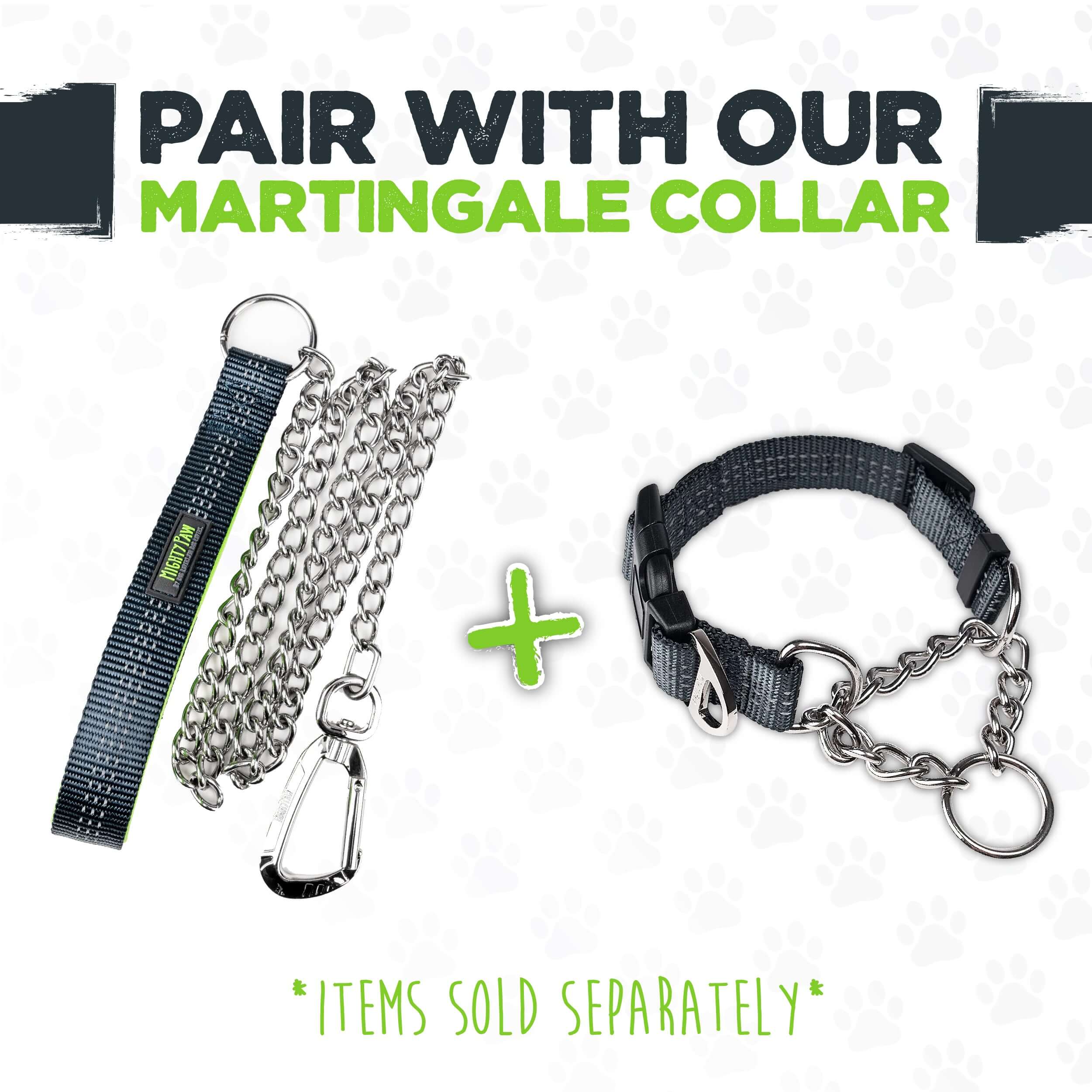Heavy-Duty Chain Leash