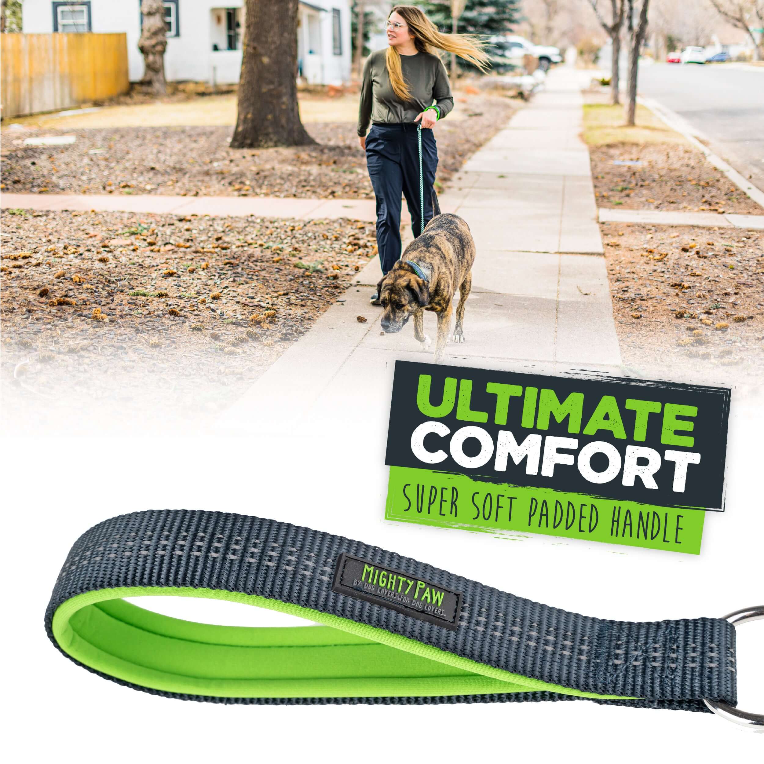 Heavy-Duty Chain Leash