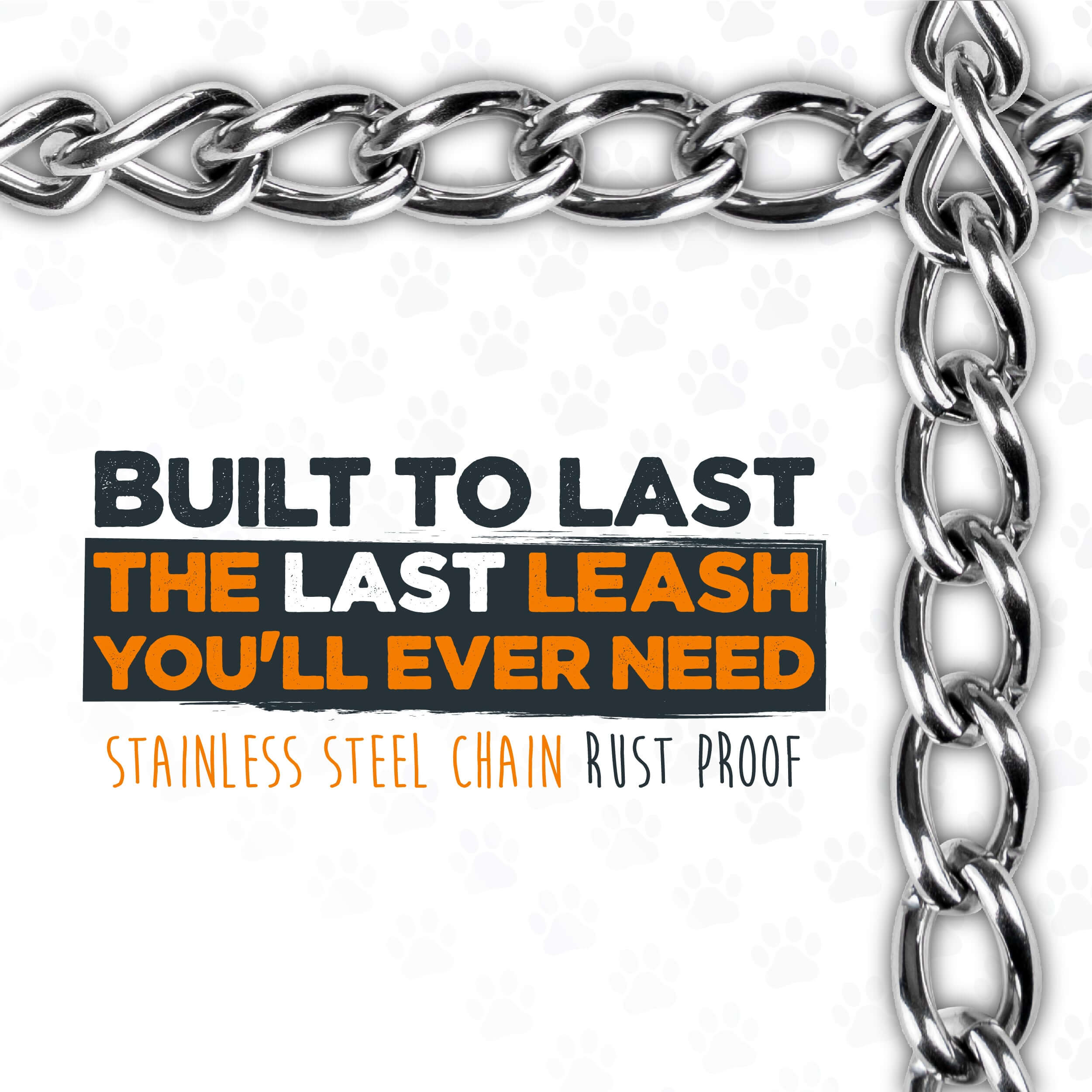 Heavy-Duty Chain Leash