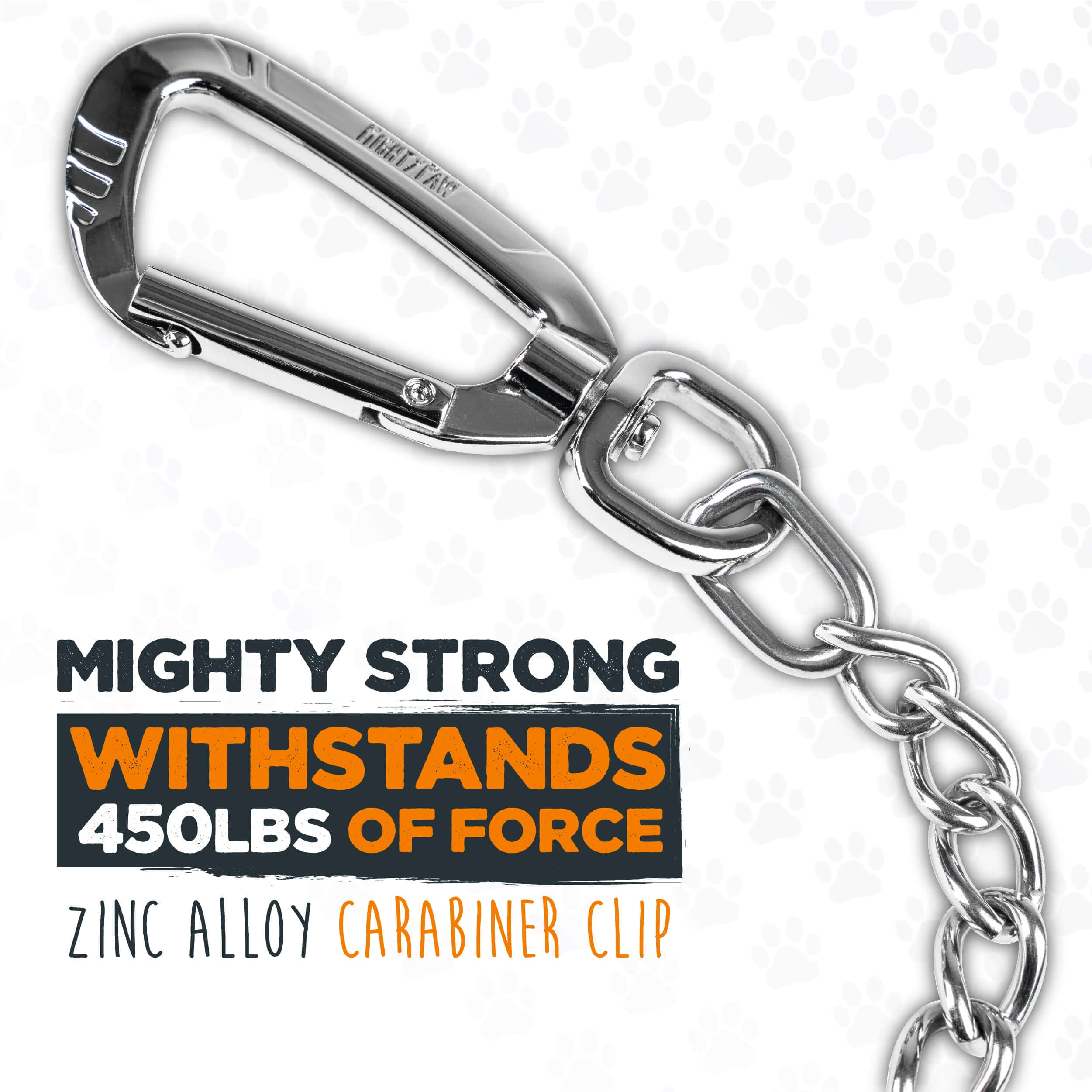 Heavy-Duty Chain Leash