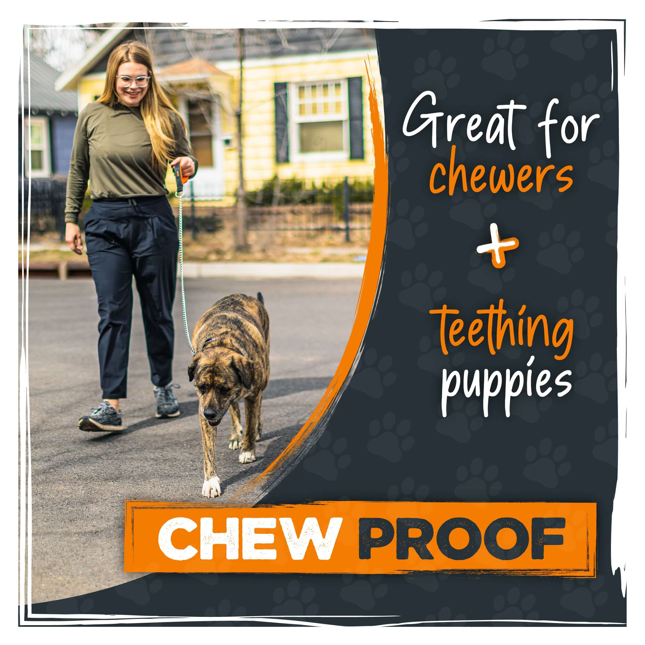 Heavy-Duty Chain Leash