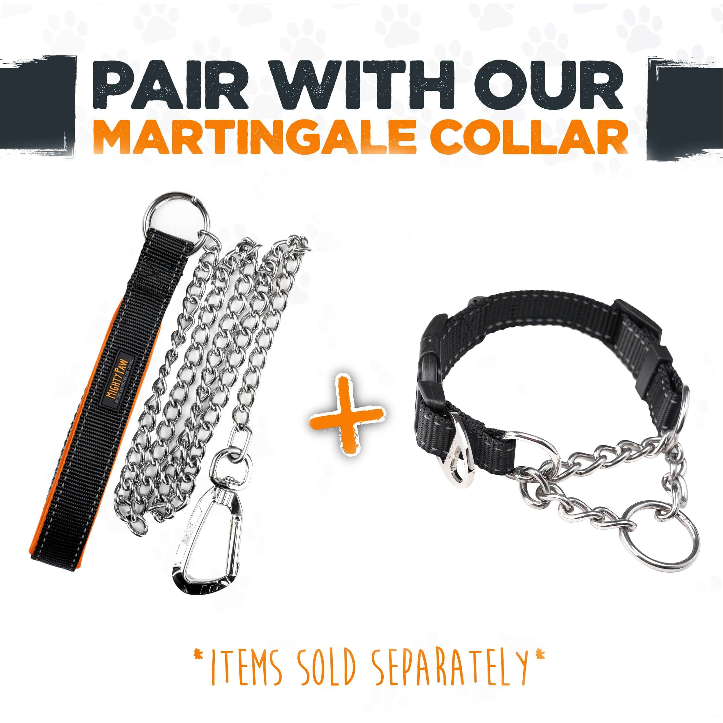 Heavy-Duty Chain Leash