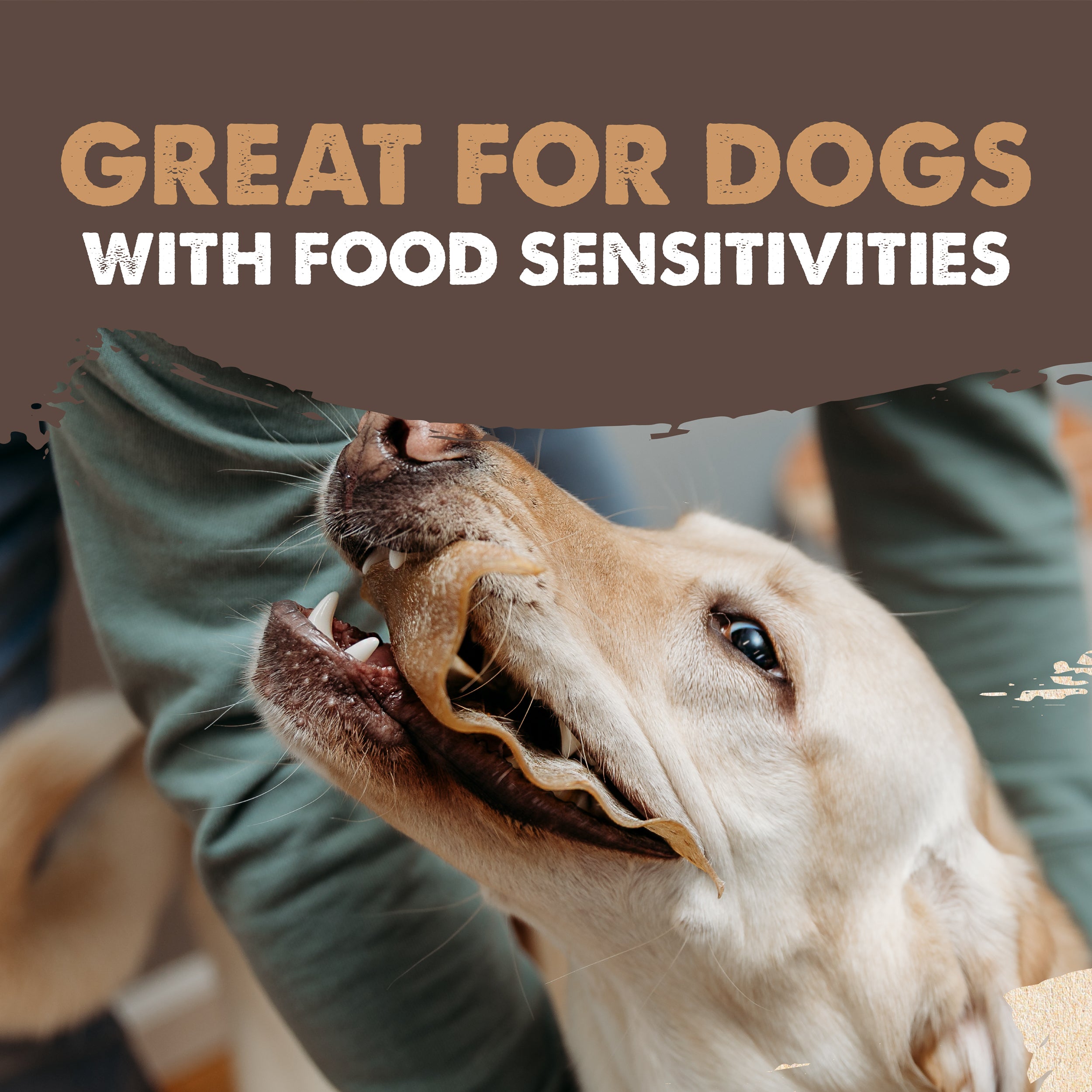 All-Natural Cow Ear Chews