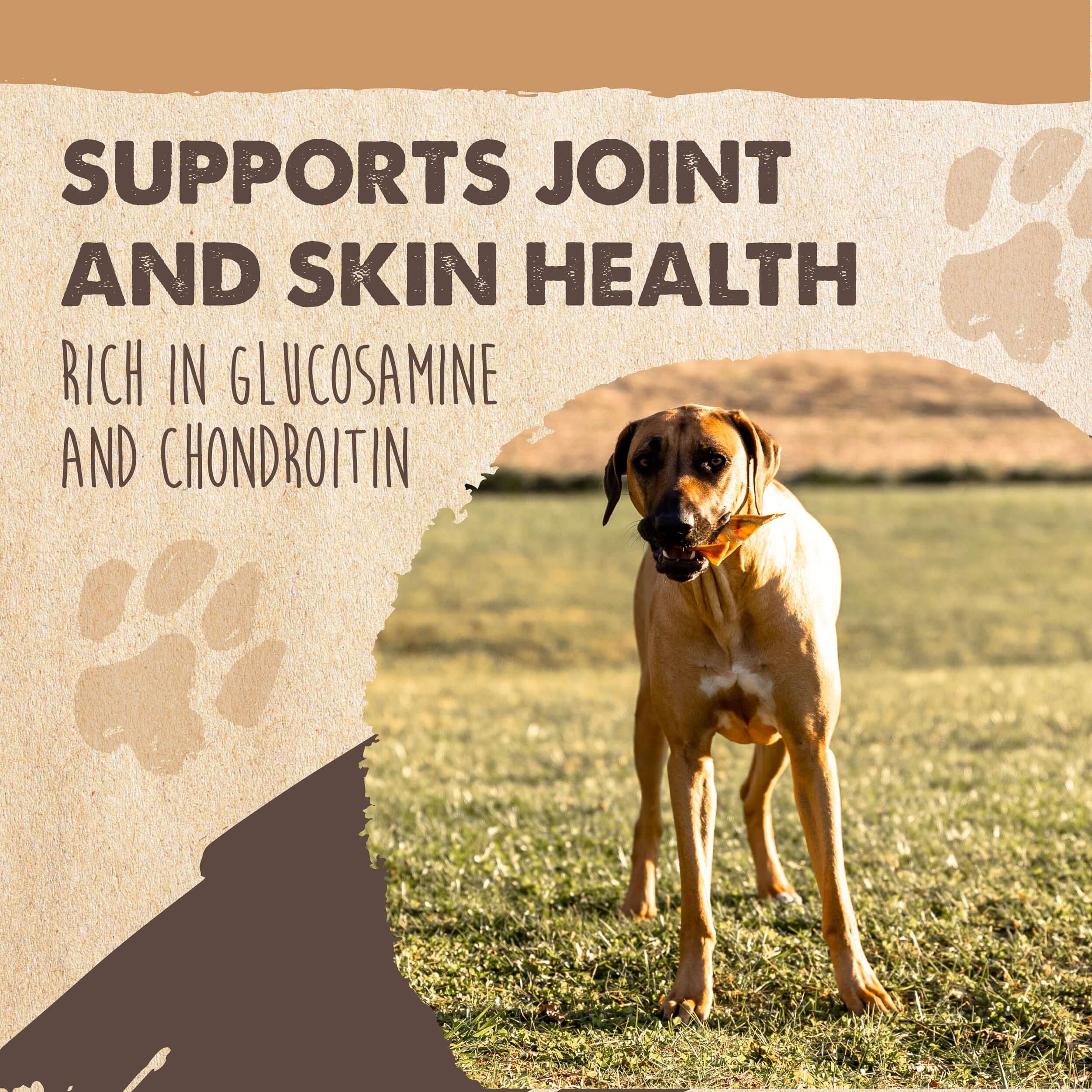 All-Natural Pig Ear Chews