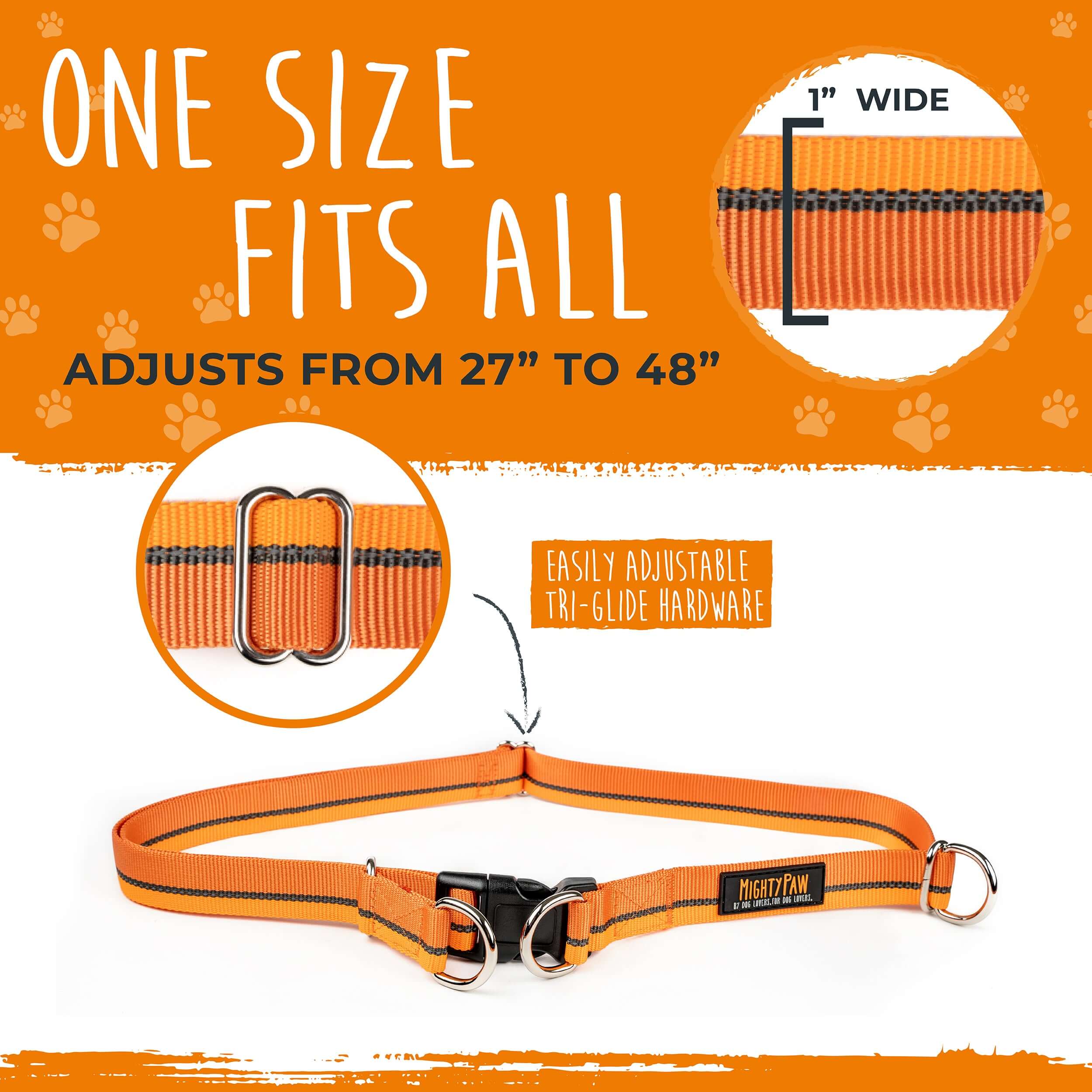 Mighty Paw Hands Free Bungee Leash 2.0