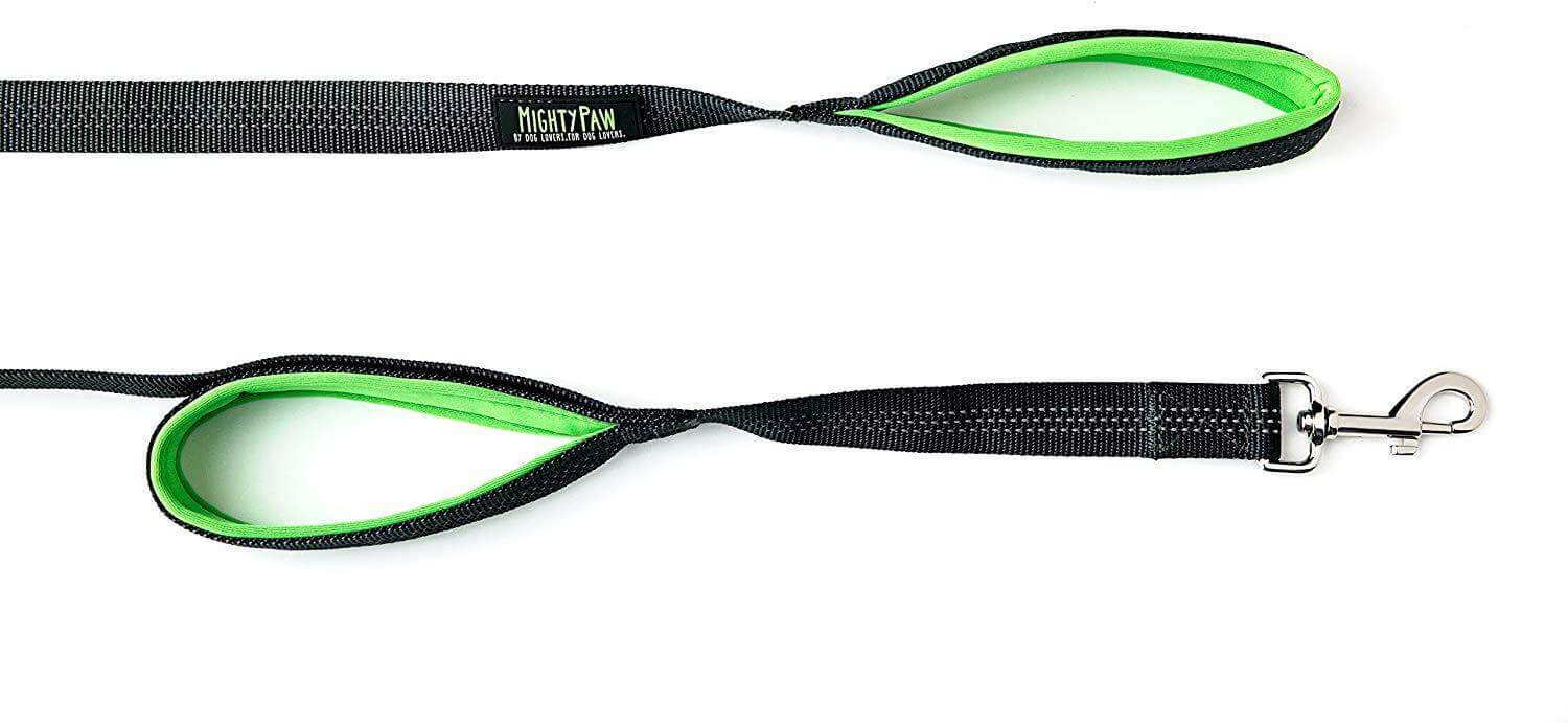 6-Foot Dual Handle Leash