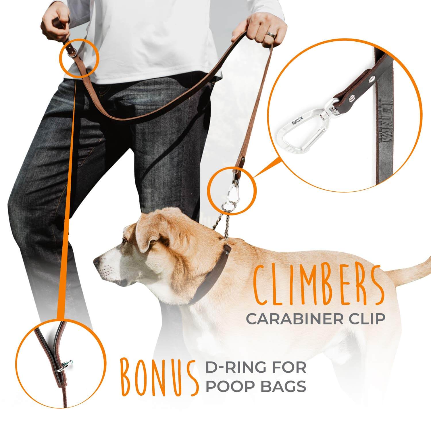6-Foot Leather Leash