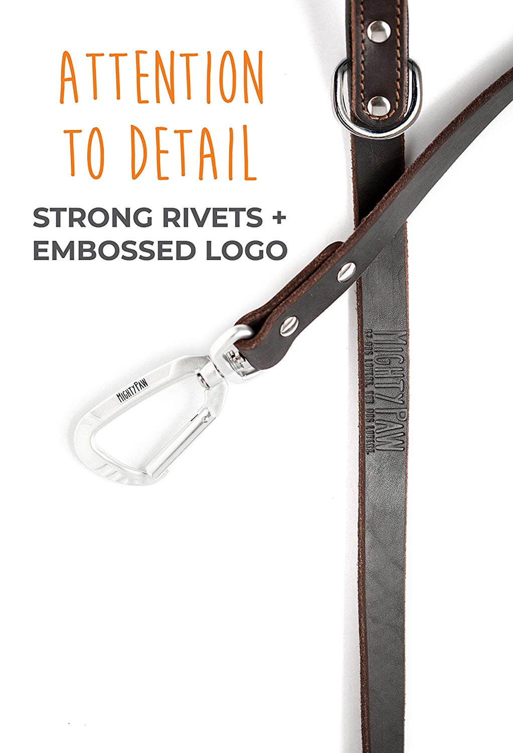 6-Foot Leather Leash